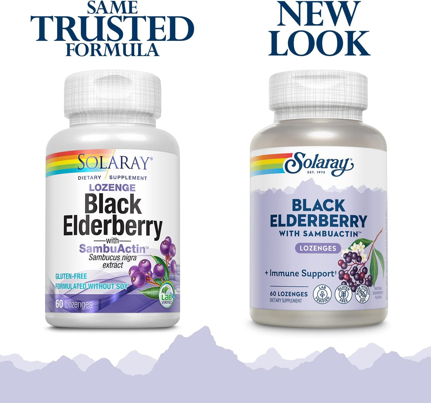 solaray-sambuactin-elderberry-extract-lozenges---immune-support-supplement-with-60-lozenges-2