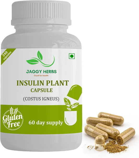 premium-jaggy-insulin-plant-capsules---240-veggie-capsules-natural-supplement-for-blood-sugar-control---costus-igneus-60-day-supply-1
