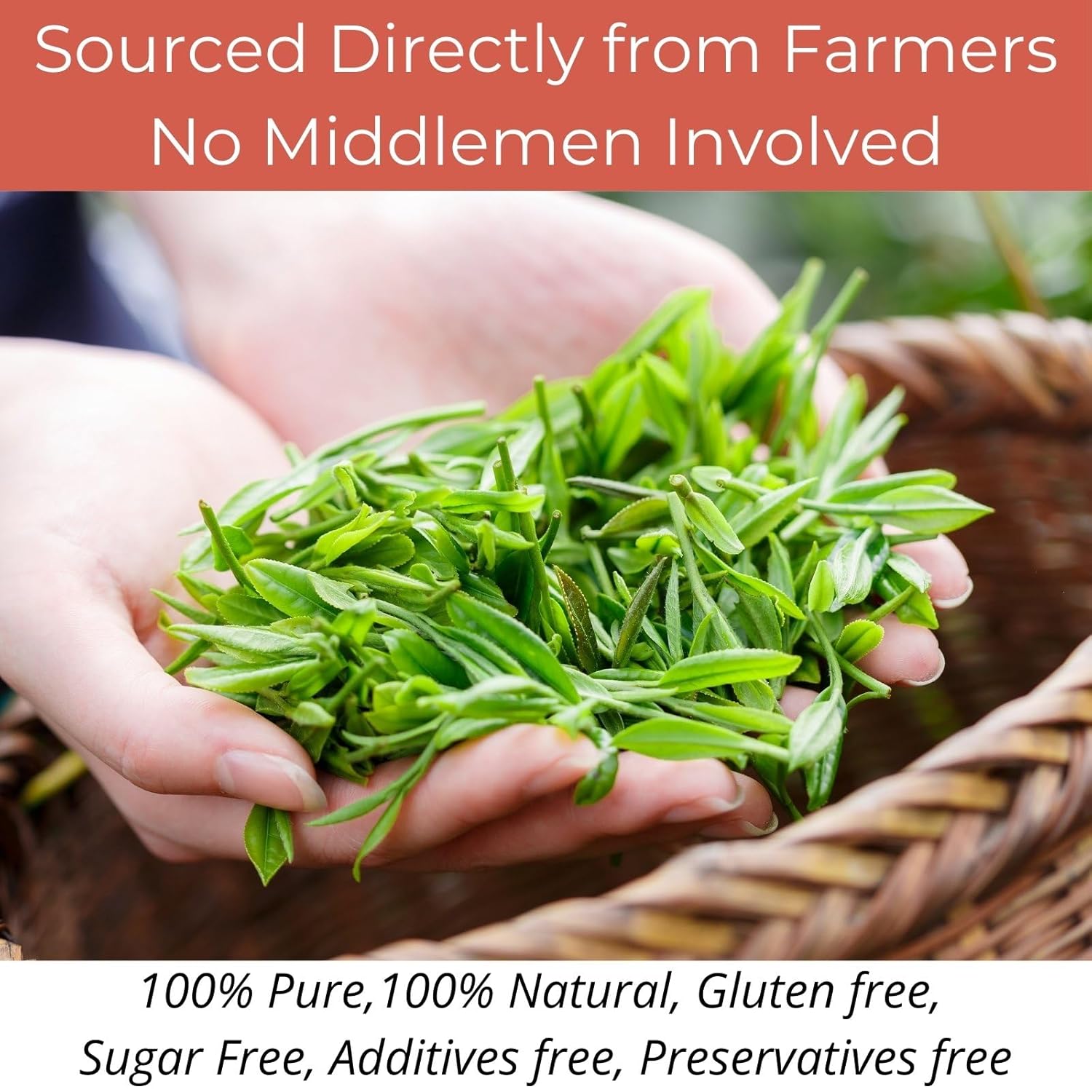 vitalforest-organic-black-tea-bags---60-count-canister-pack-for-freshness-eco-conscious-english-breakfast-loose-leaf-tea-natural-te-negro-organico-premium-caffeinated-tea-bags-7