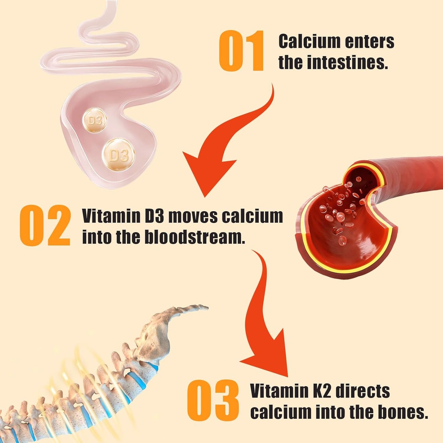 biobor-vitamin-d3-k2-gummies---2000-iu-d3-100-mcg-k2---bone-immune-health-support---gmo-gluten-free---strawberry-flavor---60-count-4