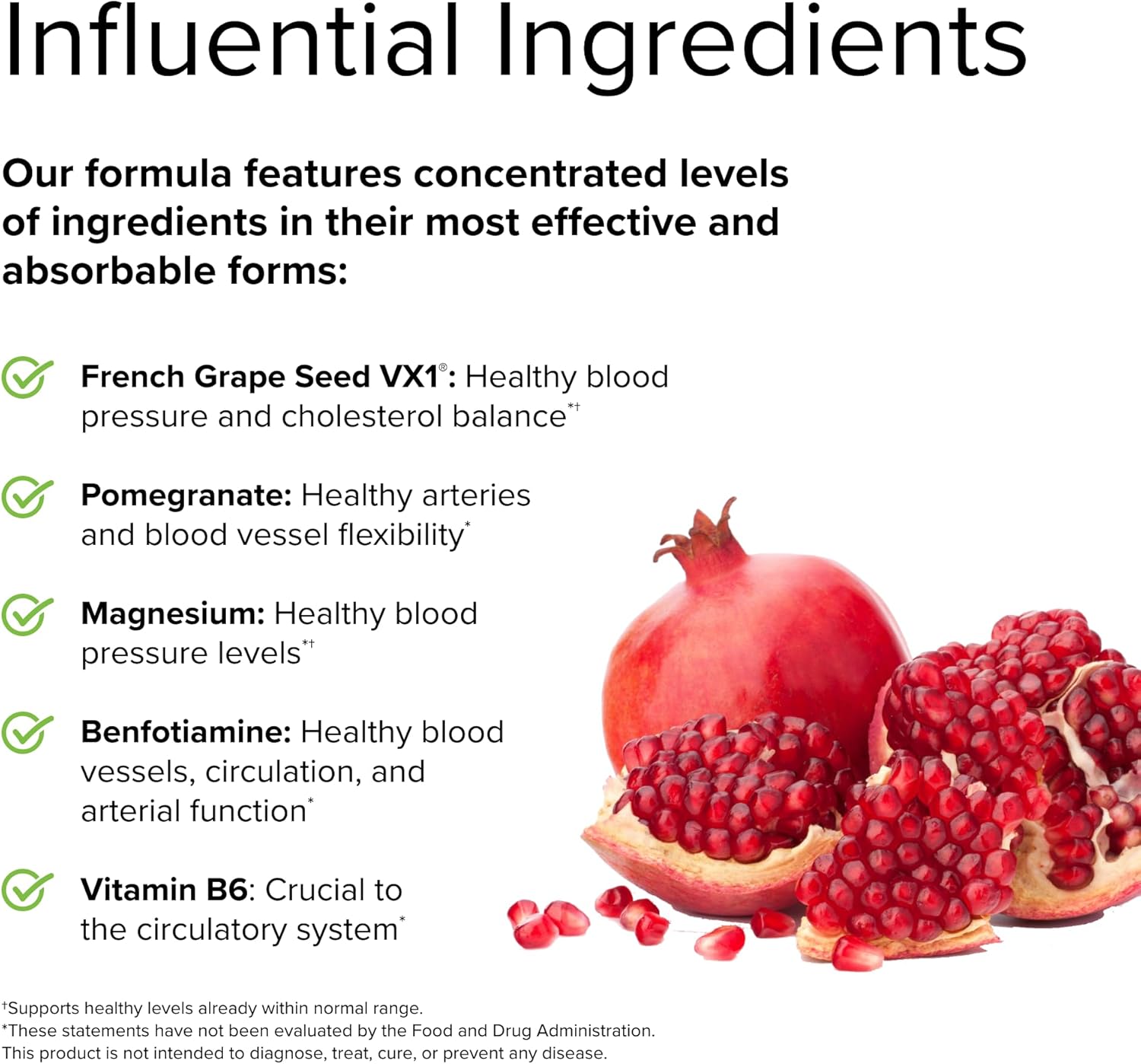 terry-naturally-clinical-opc-heart---120-capsules-french-grape-seed-complex---non-gmo-vegan-gluten-free---40-servings-5