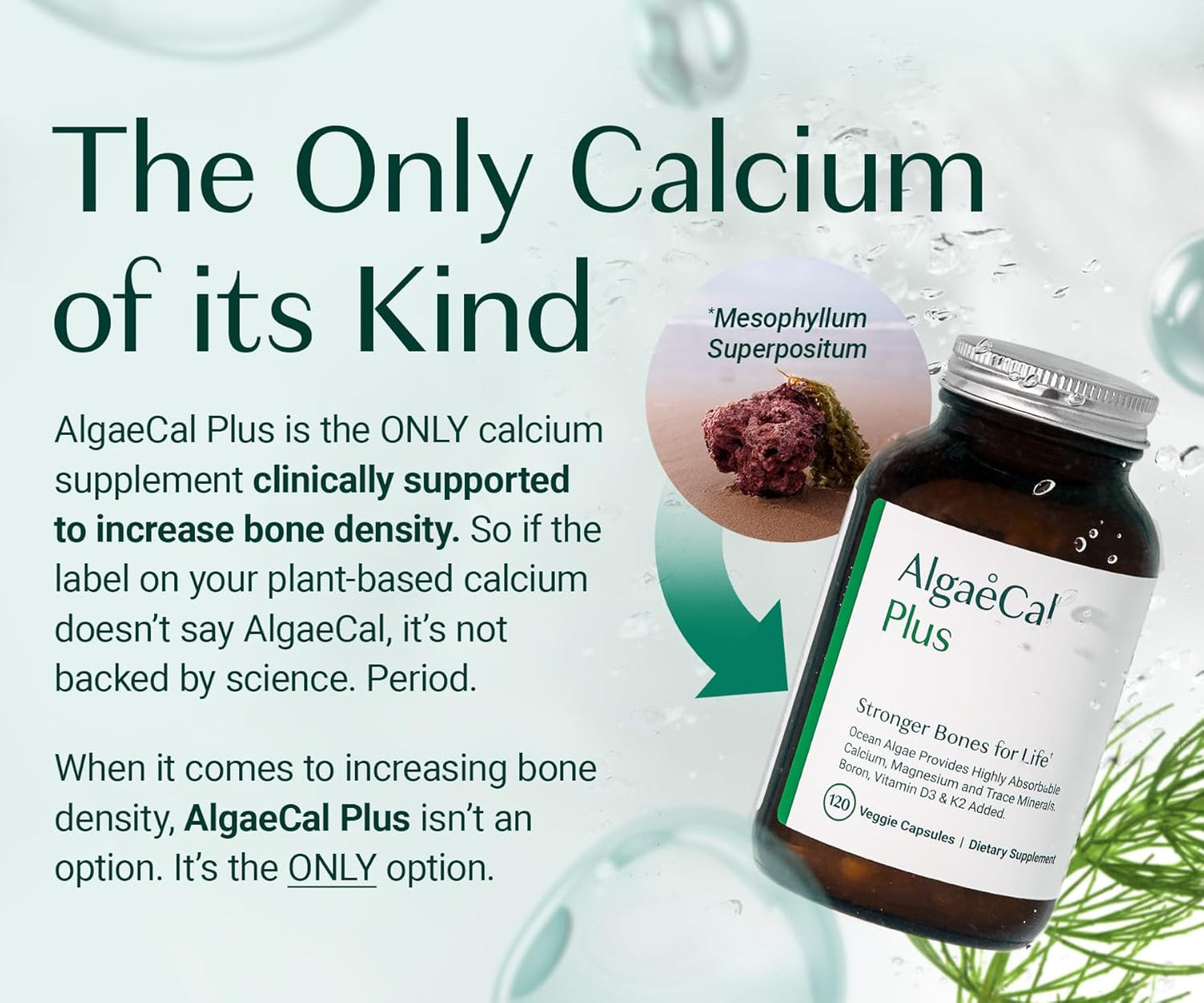 algaecal-bone-builder-pack---plant-based-calcium-strontium-supplement-for-bone-density-vitamins-k2-d3-magnesium-16-essential-nutrients-6