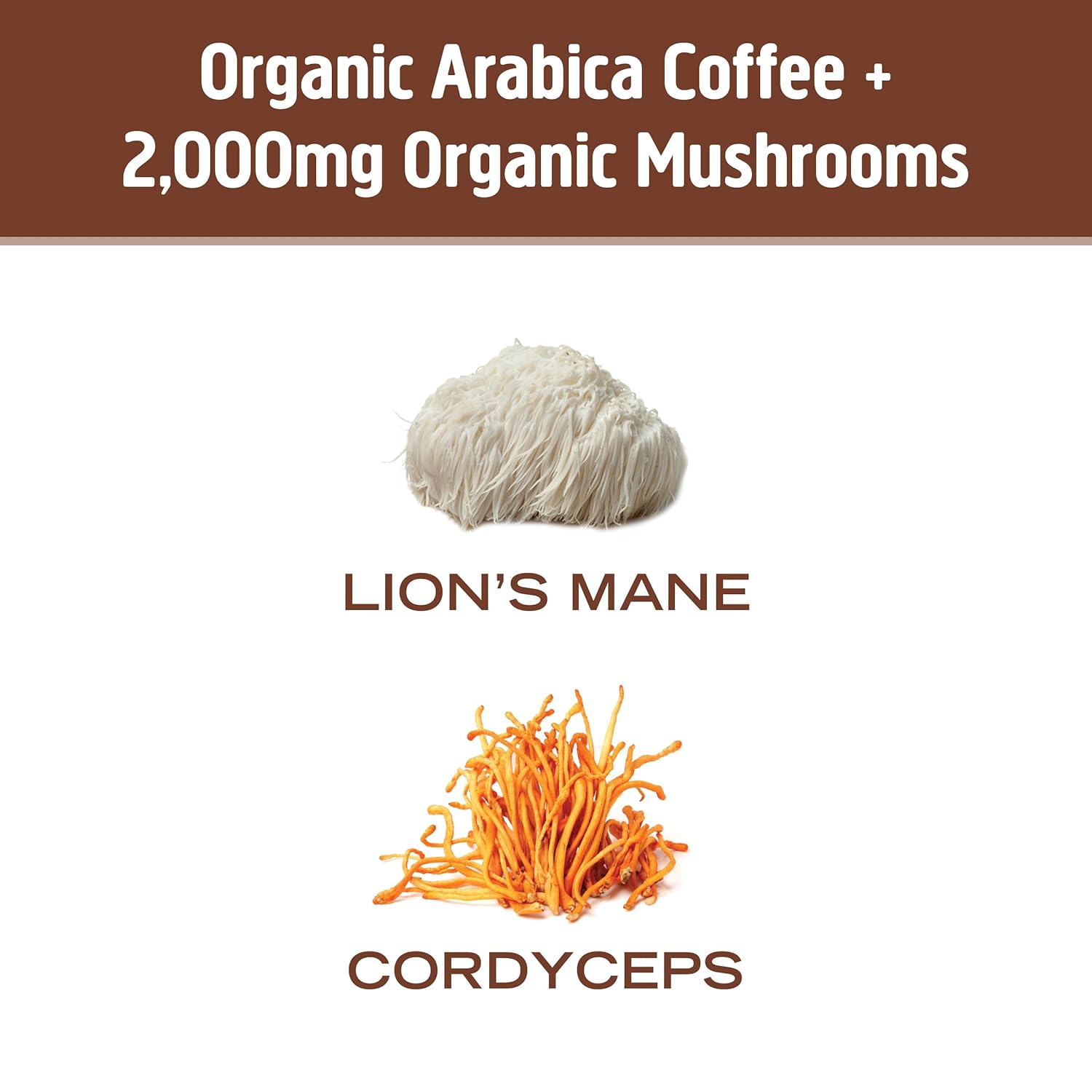 organic-mushroom-superfood-coffee-blend-powder-10-single-serve-packets-with-arabica-beans-lions-mane-cordyceps-turkey-tail-reishi-extract-ginkgo-biloba-for-energy-and-focus-3