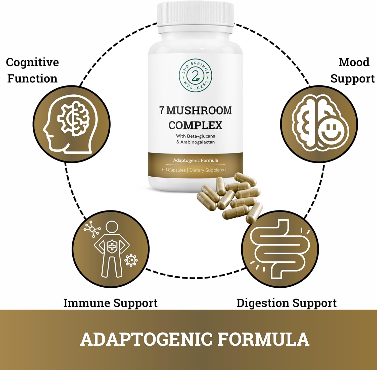 complete-mushroom-supplement-bundle-for-immune-support-cognitive-boost-and-stress-adaptation---2nd-springs-4
