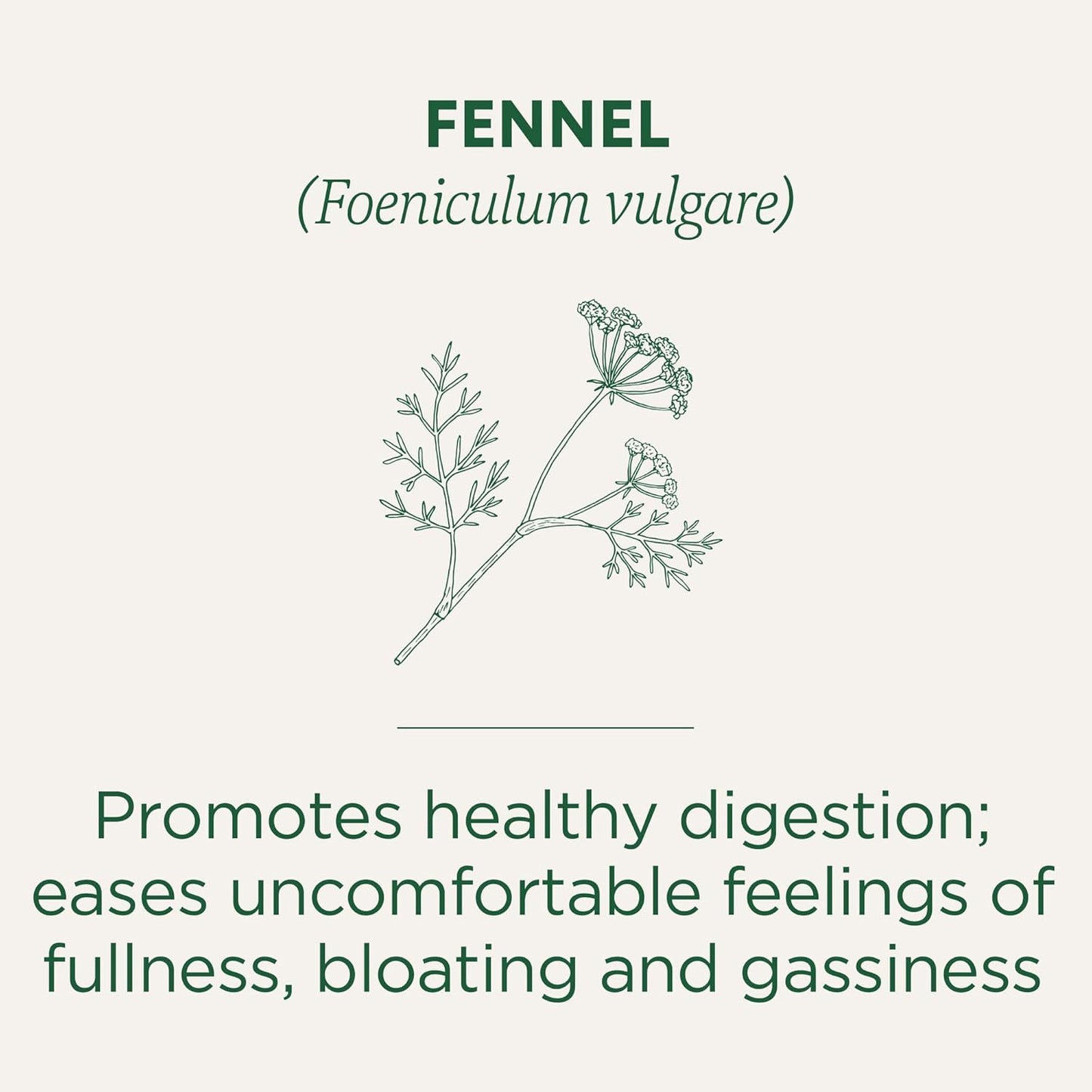 organic-fennel-tea-bags-by-traditional-medicinals---16-count-pack-2