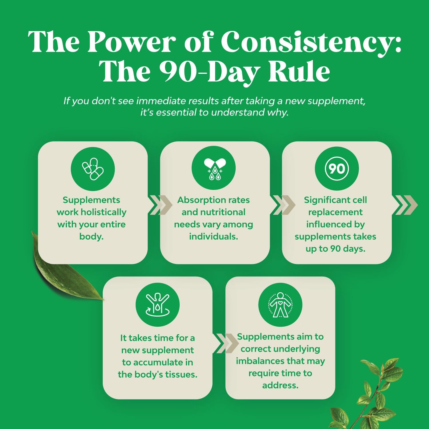 purified-ox-bile-salts-supplement-with-pancreatin-betaine-hcl---digestive-enzymes-for-gallbladder-support-and-health---2-month-supply-9