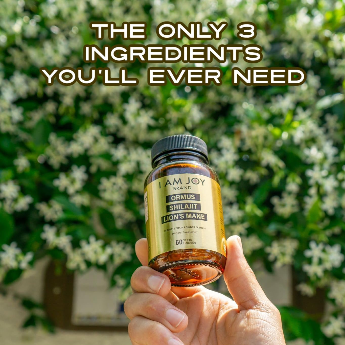 ormus-shilajit-lions-mane-capsules-with-monoatomic-24k-gold---boost-brain-power-with-unique-blend-for-energy-memory-focus---60-vegan-capsules-in-eco-friendly-glass-bottle-by-i-am-joy-co-4