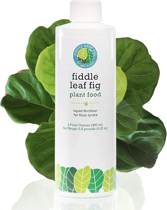 fiddle-leaf-fig-tree-plant-food---enriched-with-calcium-urea-free-npk-3-1-2-for-robust-growth---8-ounces-1