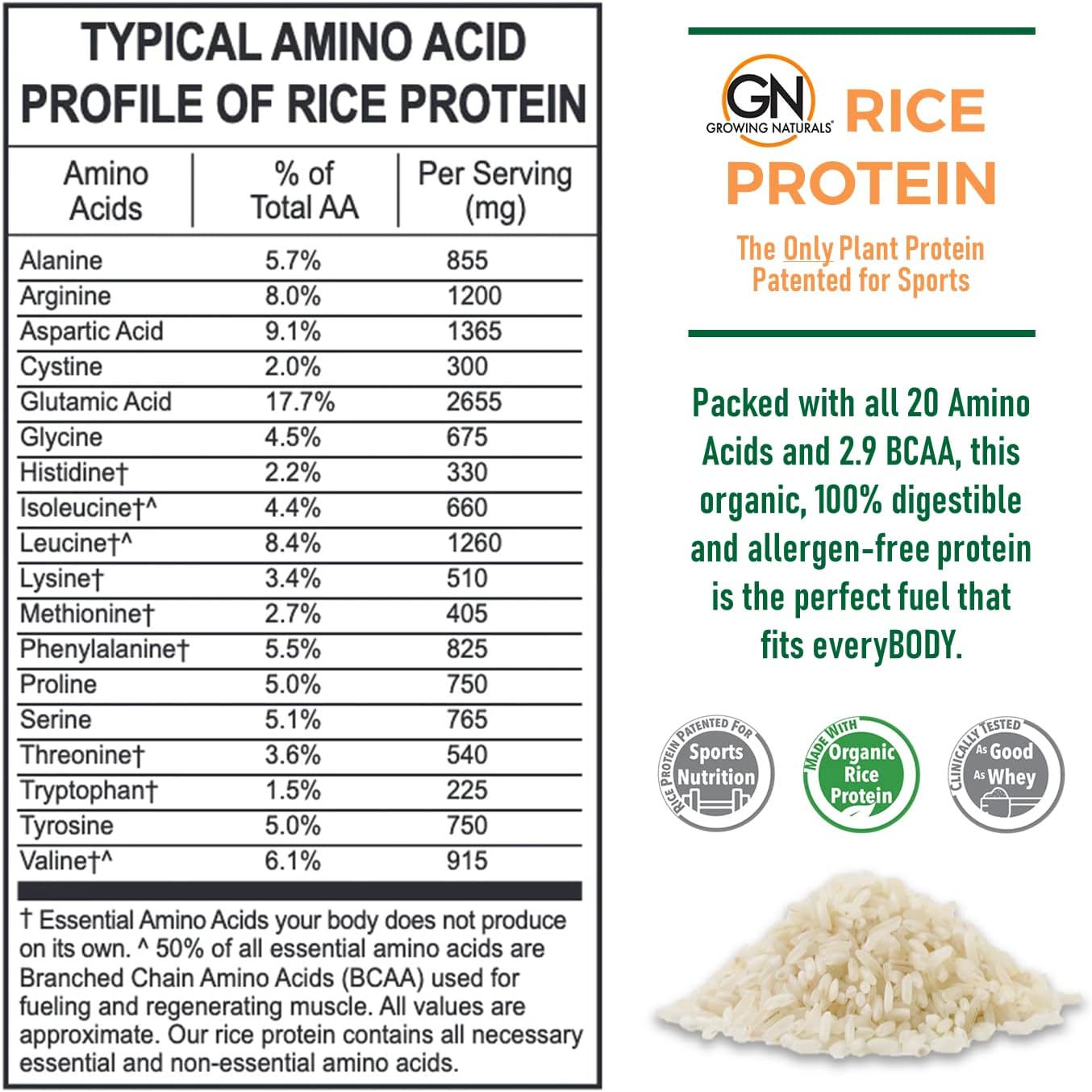 organic-vanilla-blast-rice-protein-powder---15g-plant-protein-28g-bcaa---low-carb-low-sugar-non-gmo---2lb-pack-3