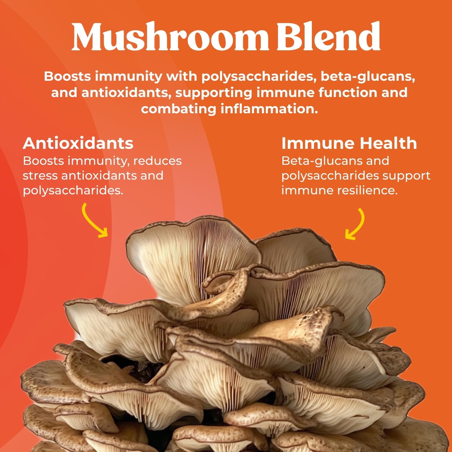 immune-support-mushroom-supplement-with-turkey-tail-chaga-maitake-reishi-shiitake---boosts-immunity-with-vitamin-c-zinc-antioxidants---60-capsules-2