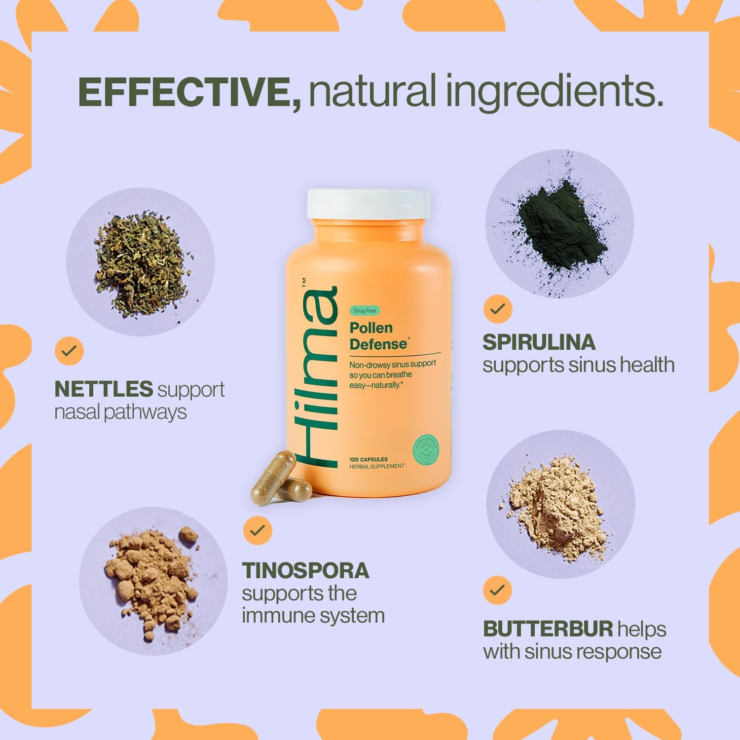 organic-sinus-support-capsules-with-butterbur-stinging-nettles-spirulina---non-drowsy-allergy-relief-from-pollen-dust---120-vegan-capsules-4