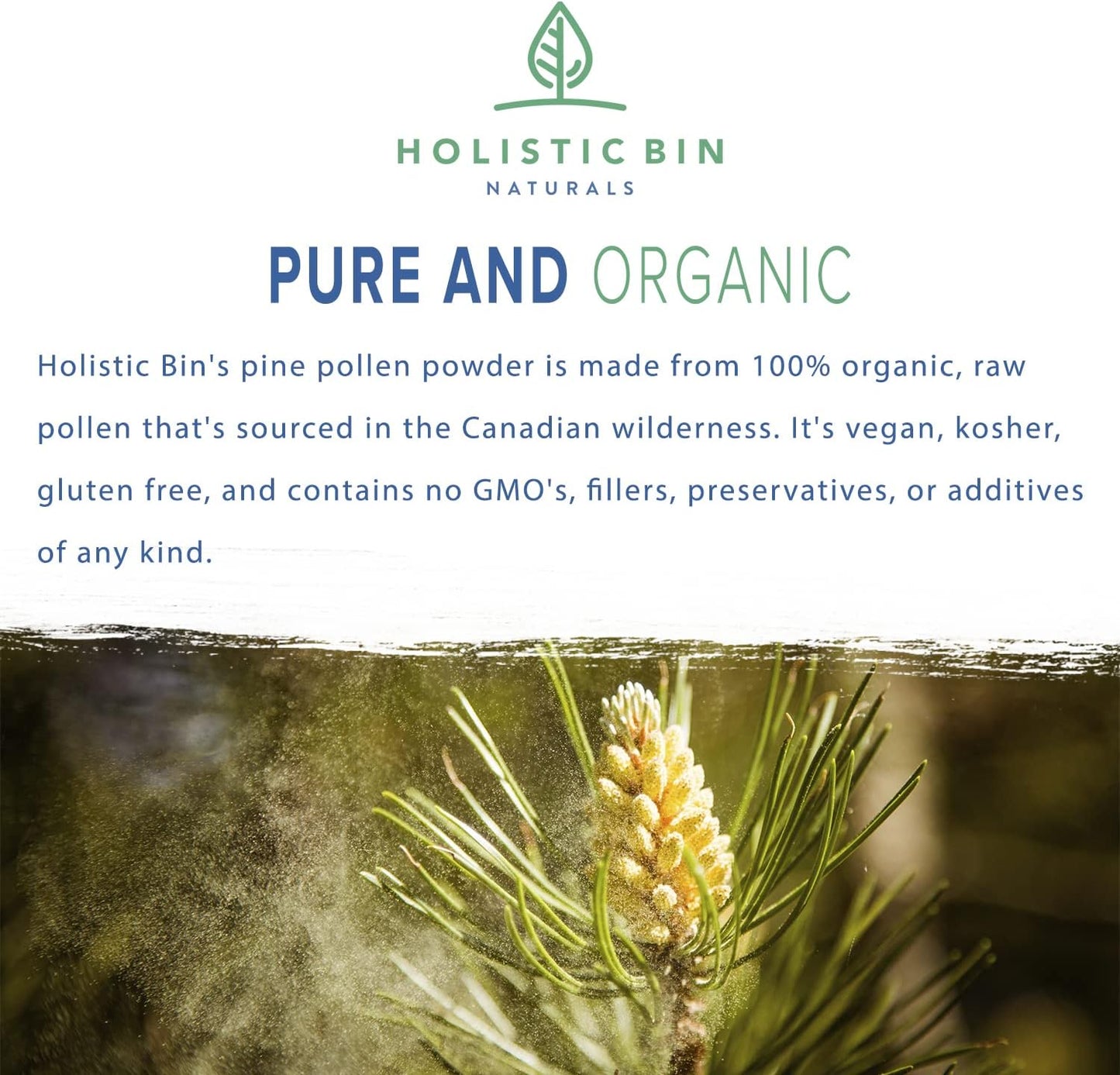 organic-golden-canadian-pine-pollen-powder---pharmaceutical-grade-wild-harvested-gmo-free---pure-supplement-from-lodgepole-pine-tree---20g-2