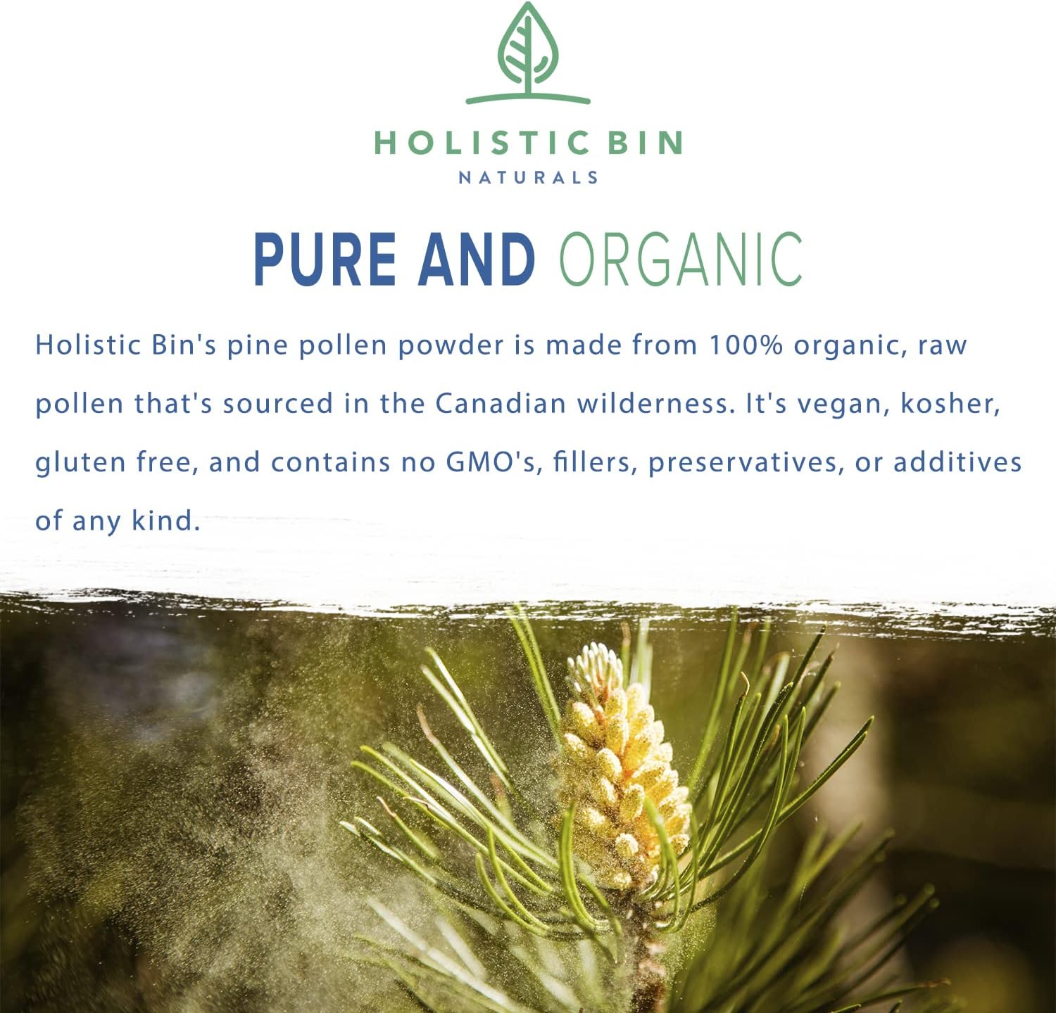 organic-golden-canadian-pine-pollen-powder---pharmaceutical-grade-wild-harvested-gmo-free---pure-supplement-from-lodgepole-pine-tree---20g-2