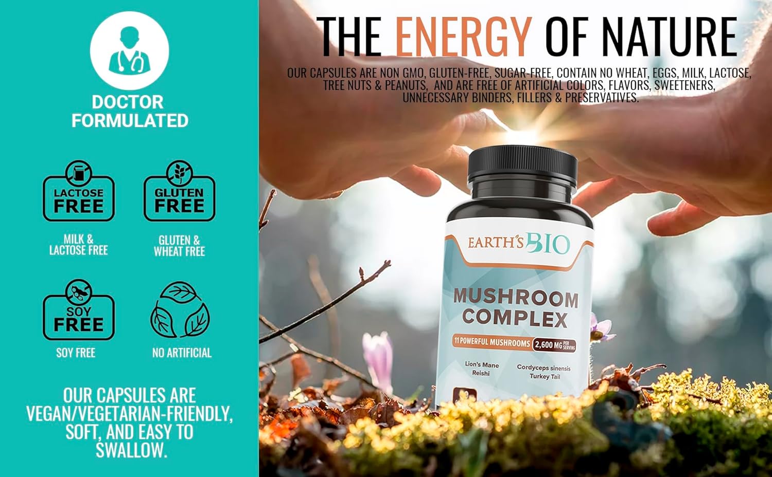 Organic Mushroom Supplement Complex 2,600 mg, 90 Capsules - Lion's Mane, Turkey Tail, Enoki Agaricus, White Button & Oyster Mushroom Blend for Memory & Immune Support - Espot.com.au