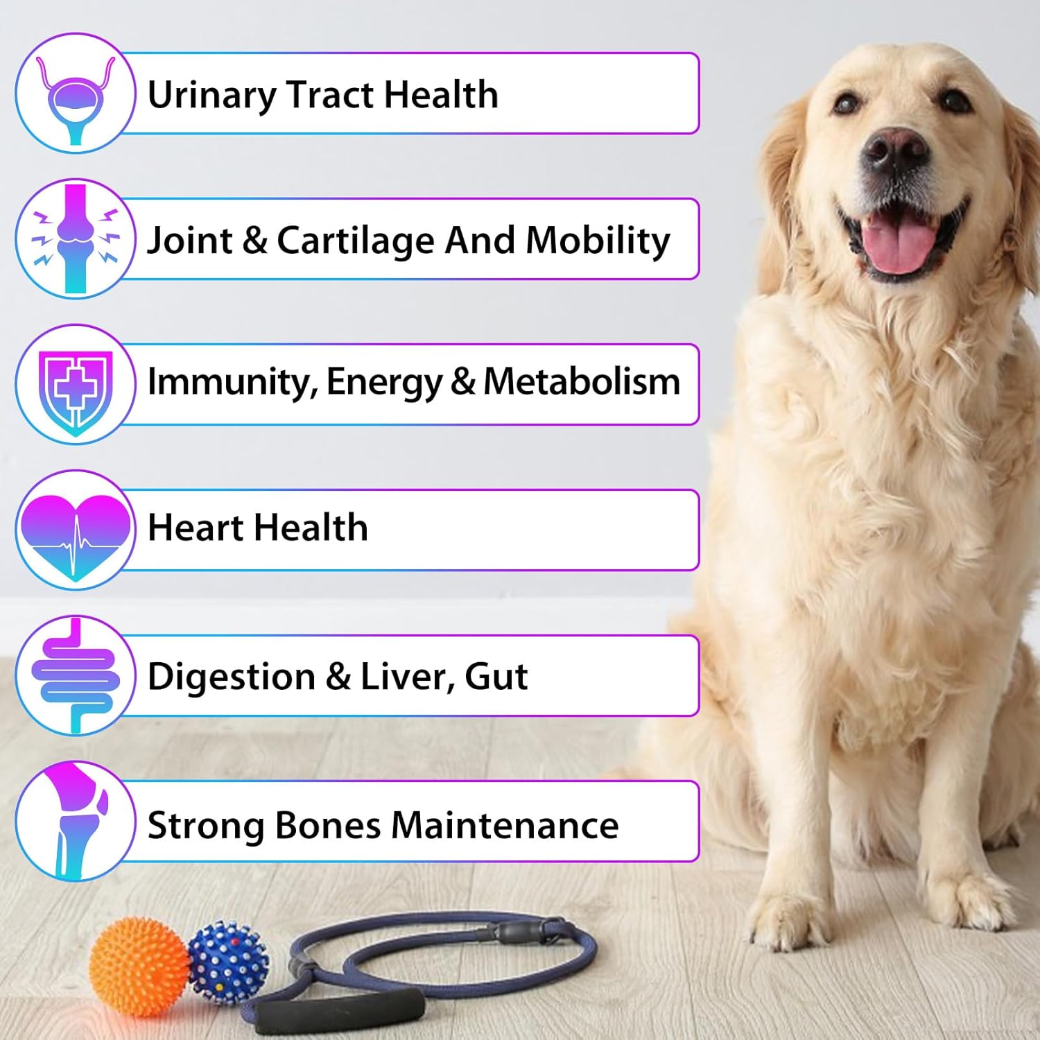onznoz-dog-multivitamin-liquid---15-in-1-formula-for-skin-coat-heart-bones-joints---pet-supplements-for-health-wellness---2-fl-oz-5