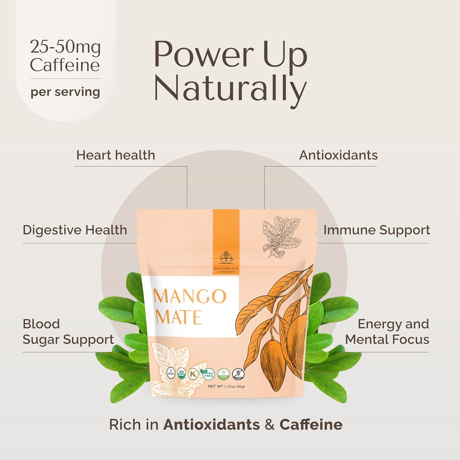 palermo-organic-yerba-mate-tea-bags---mango-mate-infused-with-cinnamon-orange-peel-licorice-root---antioxidant-rich-tropical-mango-flavor---20-count-sweet-spice-blend---vegan-gluten-free-unsmoked-3
