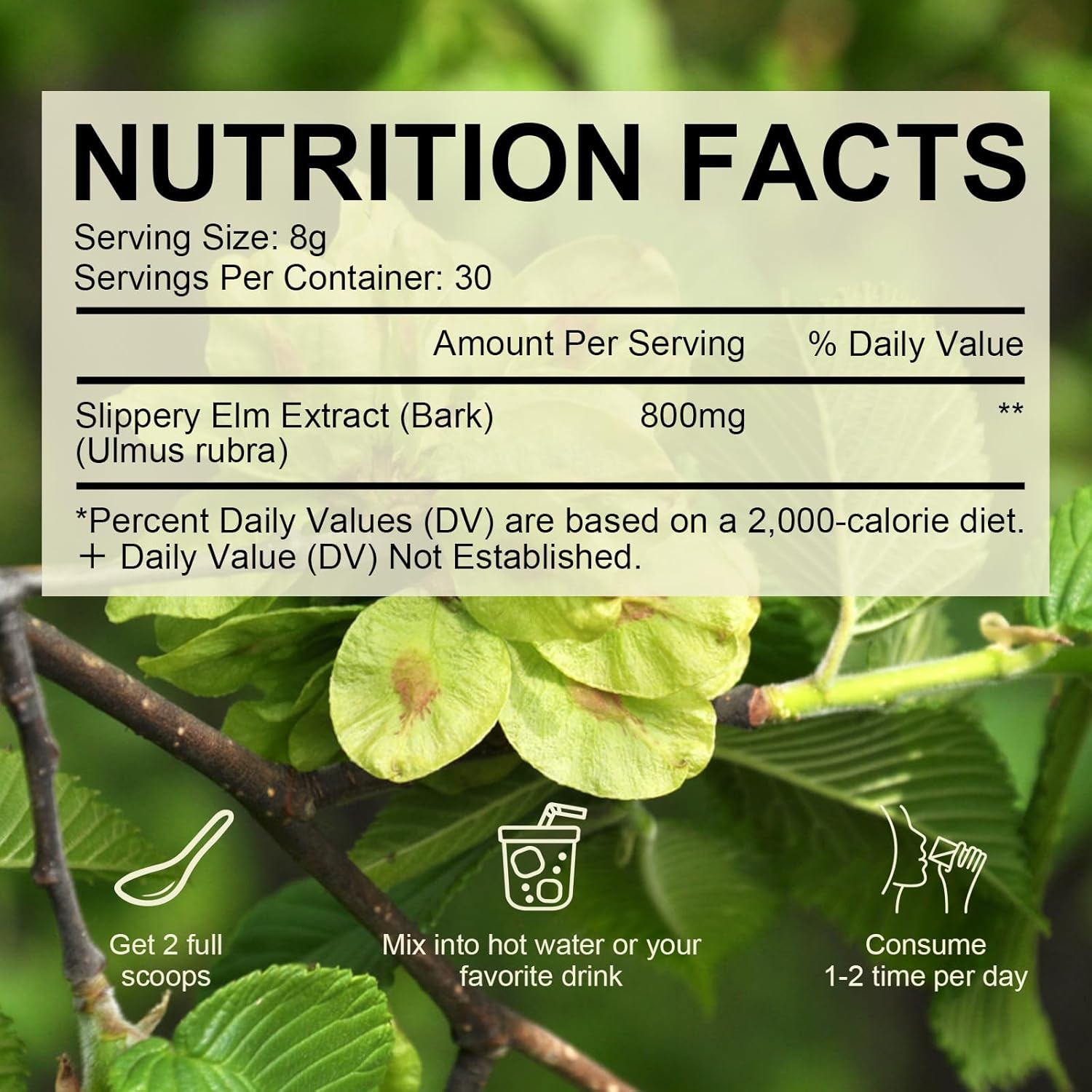 pure-slippery-elm-bark-powder-240g---herbal-supplement-for-intestinal-health-throat-soothing-non-gmo-gluten-free-vegetarian-friendly-2