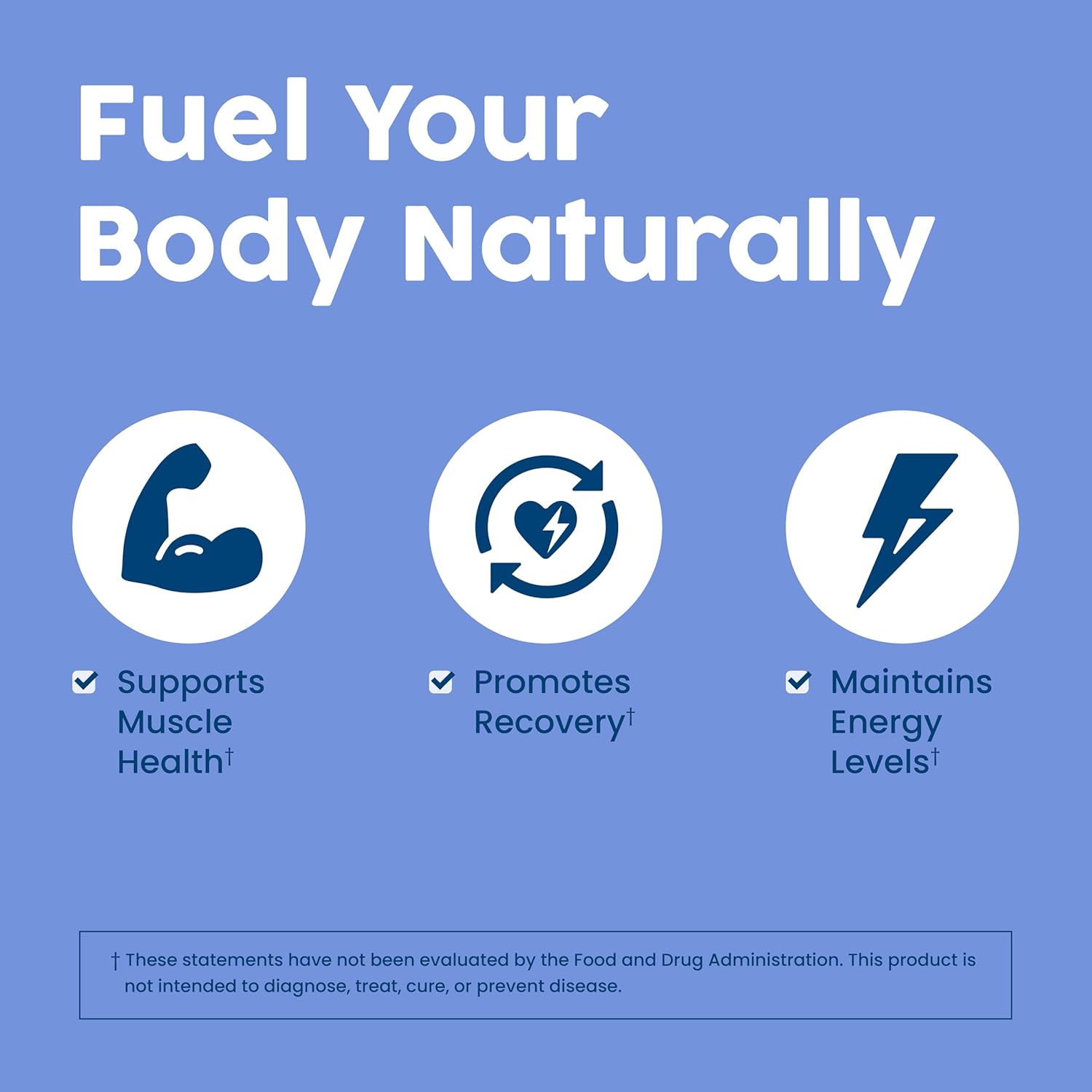 vanilla-nativepath-complete-protein-powder---30-servings-4