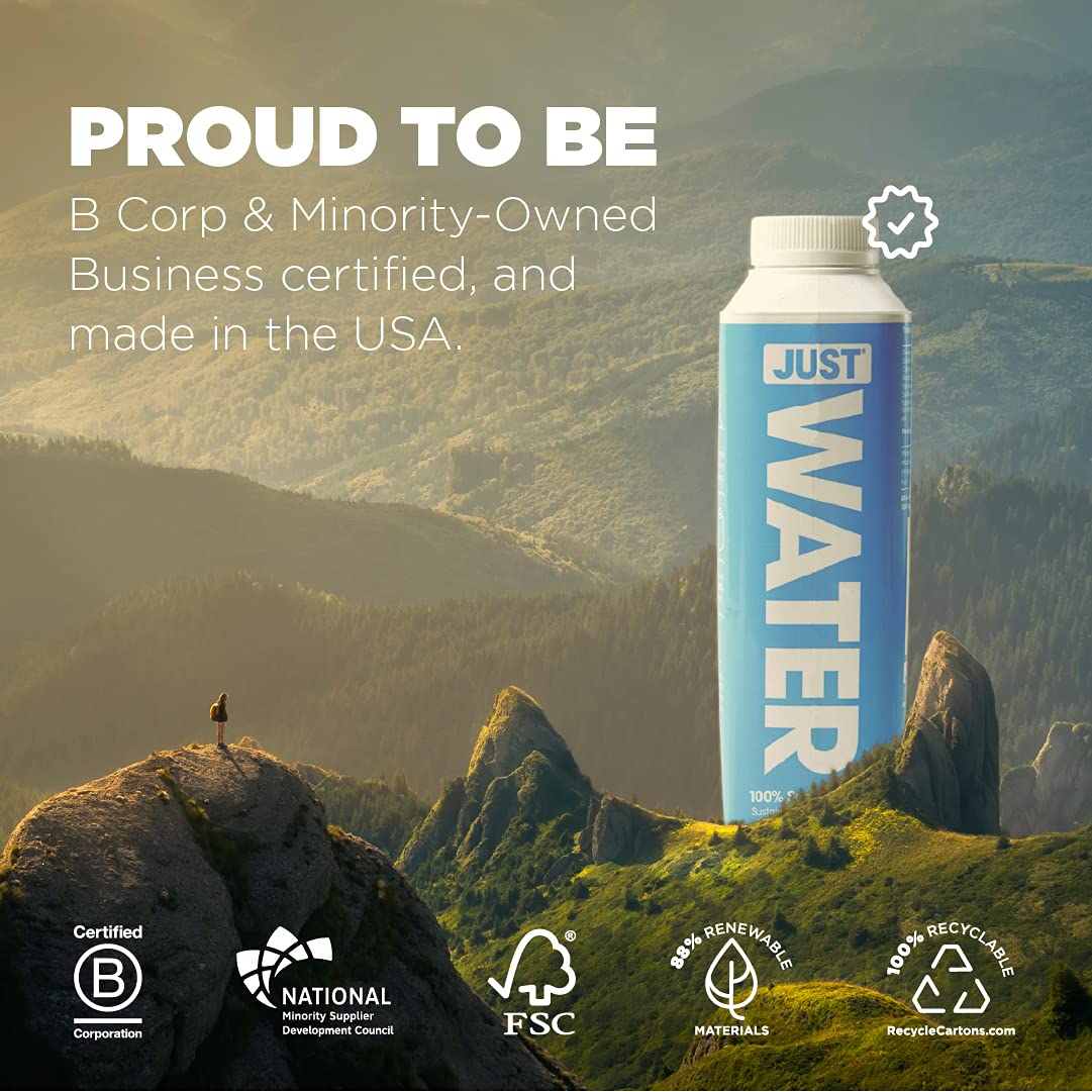 JUST Water Premium Pure Still Spring Water Eco-Friendly Plant-Based Bottle 8.0 pH 16.9 Fl Oz (Pack of 12) - Espot.com.au
