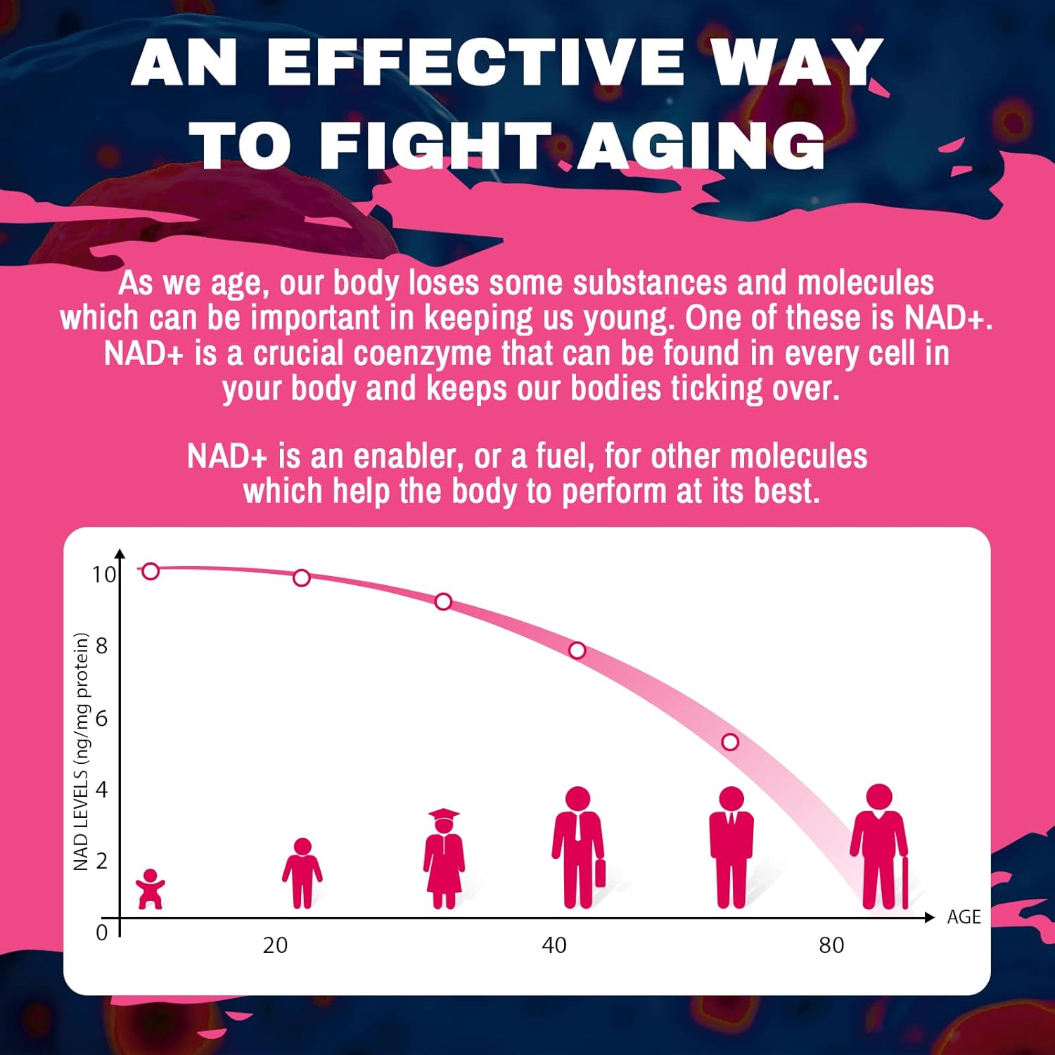 high-potency-liposomal-nad-supplement-for-enhanced-absorption---120-softgels---boost-energy-metabolism-age-defense-repair-4