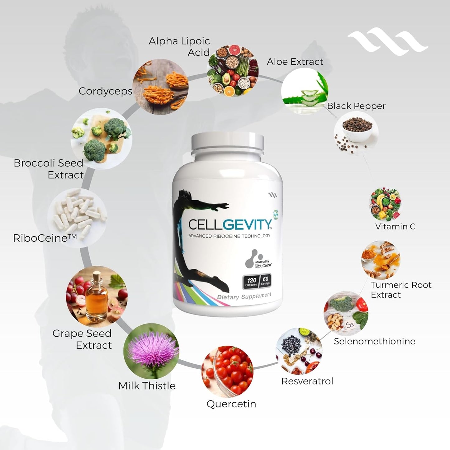 advanced-cellgevity-with-riboceine-technology---120-vegetable-capsules-60-servings---boost-cellular-health-and-function-3