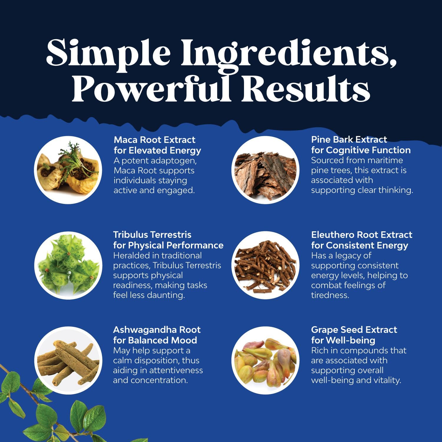 natural-nitric-oxide-support-and-maca-root-capsule-bundle-for-men---energy-strength-and-recovery-boost---muscle-builder-and-mood-enhancer---drive-and-energy-booster-7