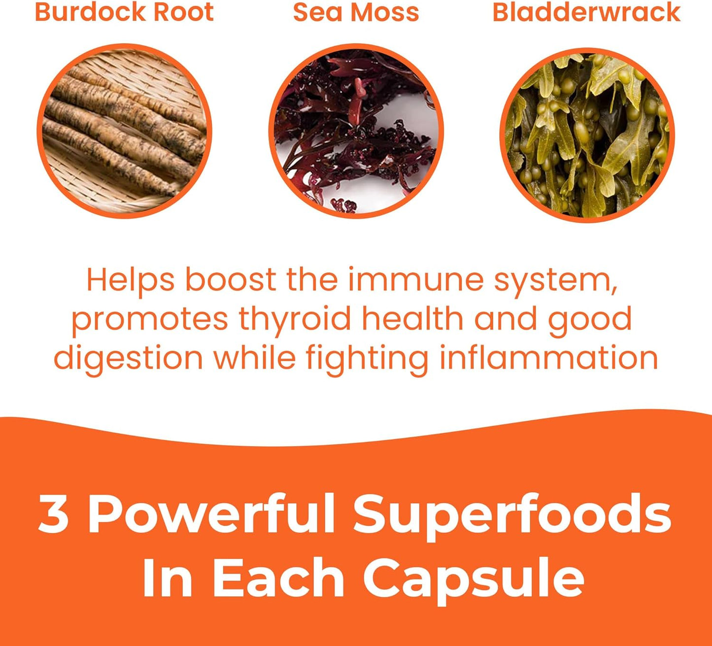 high-potency-1250mg-sea-moss-capsules-with-bladderwrack-burdock-root---vegan-superfood-supplement-for-immunity-overall-health---60-count---made-in-usa-6