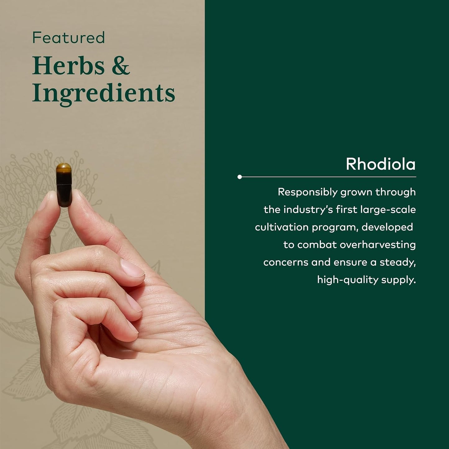 organic-rhodiola-supplement-for-stress-relief---gaia-herbs-pro-formula-with-rhodiola-rosea-rosavins---60-vegan-liquid-capsules-4