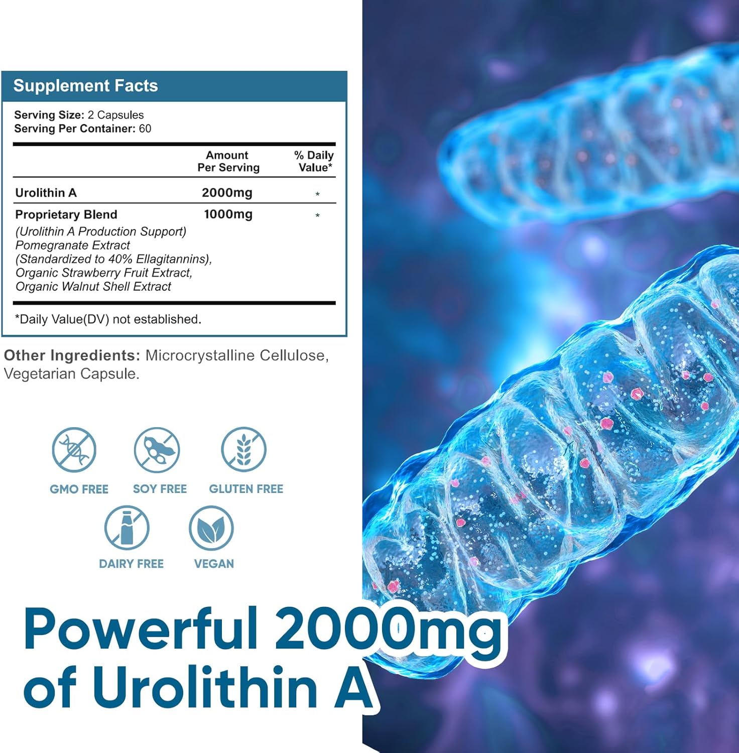2000mg-urolithin-a-supplement---360-capsules-for-antioxidant-protection-healthy-aging-in-men-women---supports-mitochondrial-health-cell-repair-4