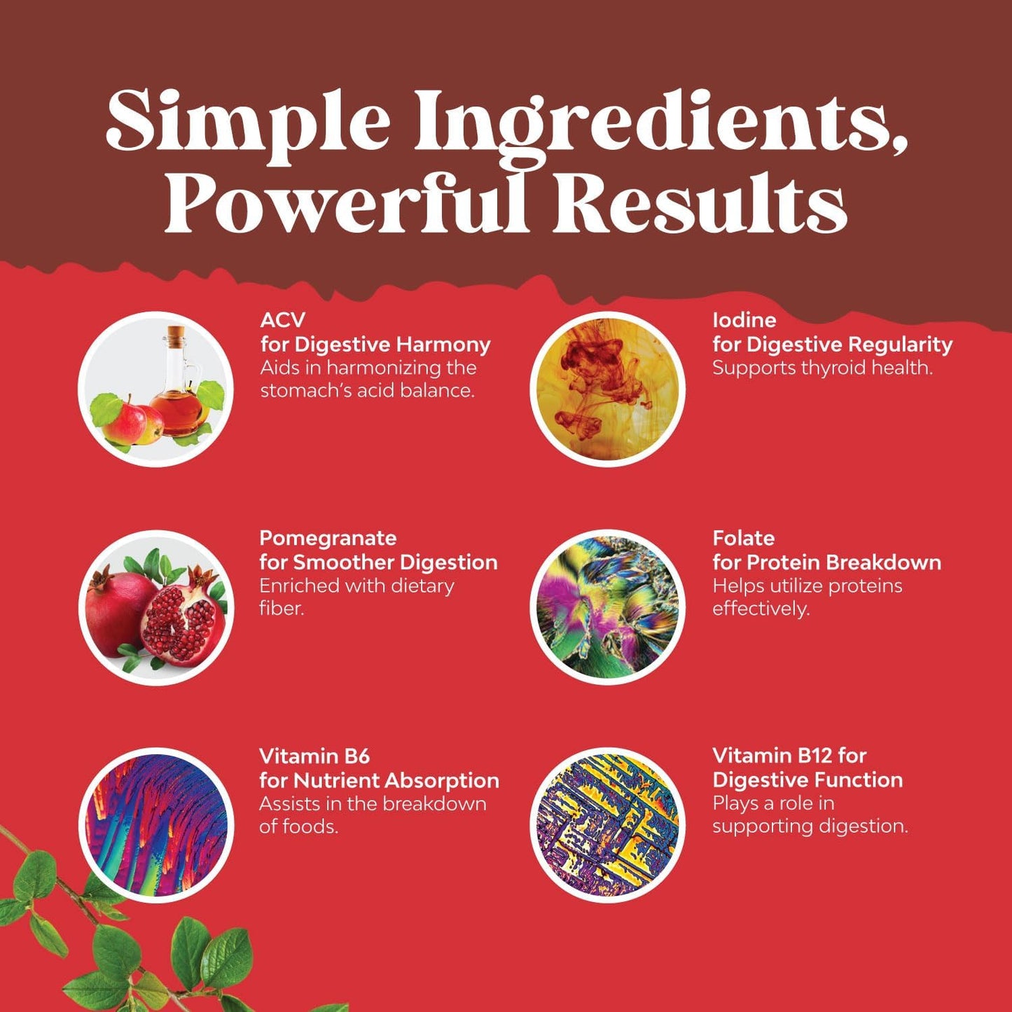 natures-craft-acv-gummies-with-vitamin-b-complex---superfood-infused-vitamins-for-adults-detox-cleanse-immune-support-digestion-and-glowing-skin---delicious-daily-energy-4