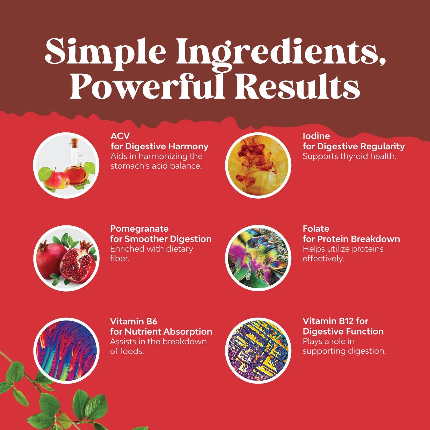 natures-craft-acv-gummies-with-vitamin-b-complex---superfood-infused-vitamins-for-adults-detox-cleanse-immune-support-digestion-and-glowing-skin---delicious-daily-energy-4
