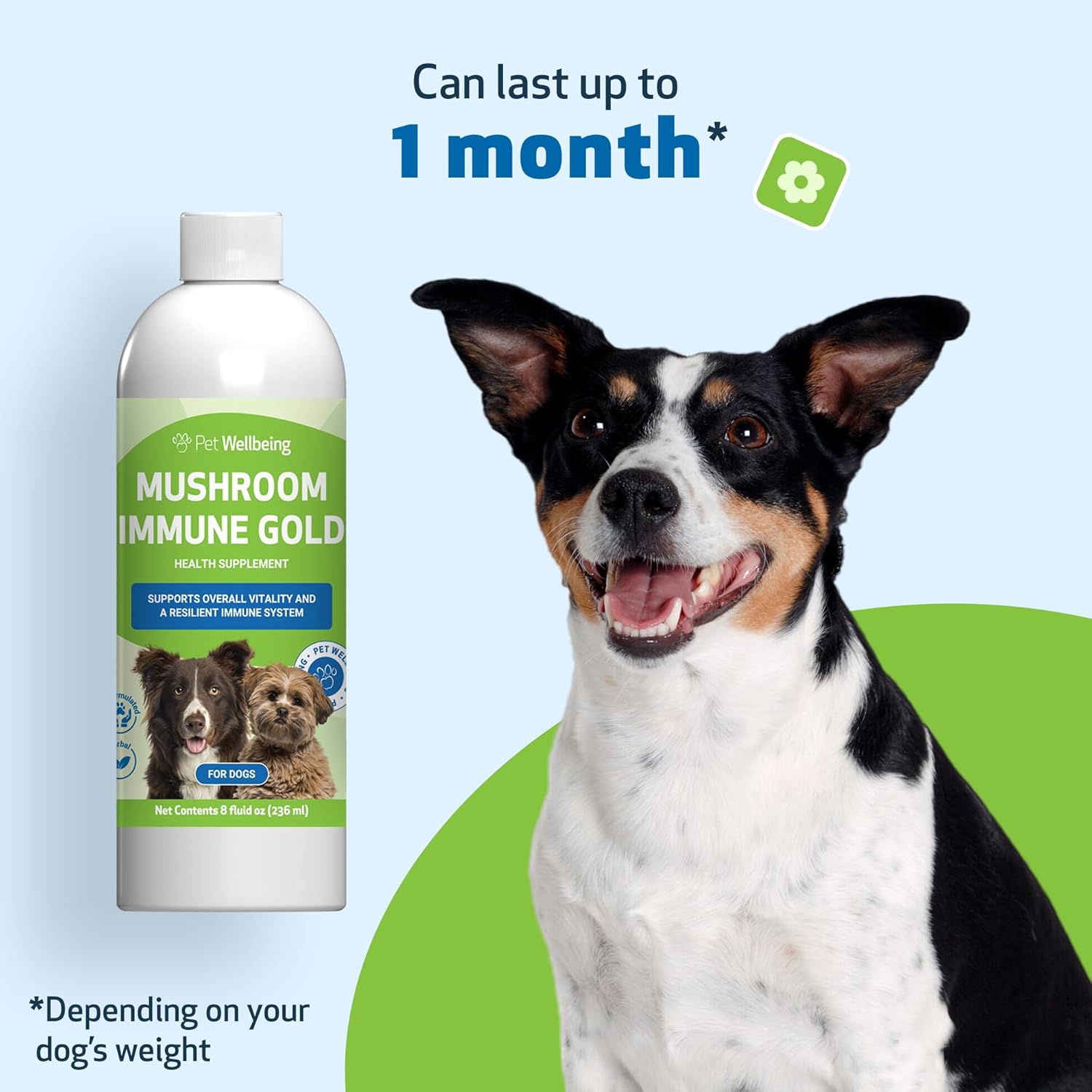 natural-mushroom-immune-support-for-dogs-and-cats---pet-wellbeing-immune-gold---8oz-bottle---boost-your-pets-immune-system-8