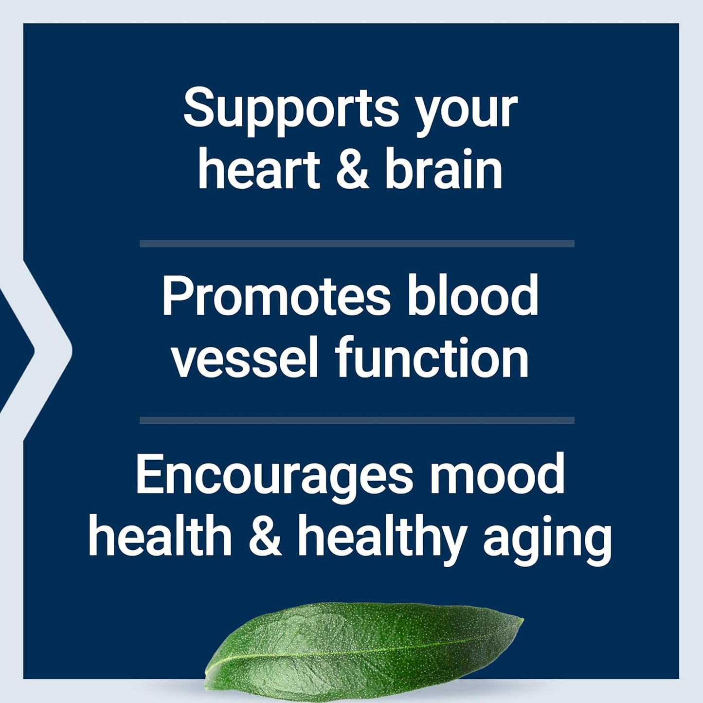 heart-brain-health-support---super-omega-3-epadha-fish-oil-with-sesame-lignans-olive-extract-240-softgels-gluten-free-4