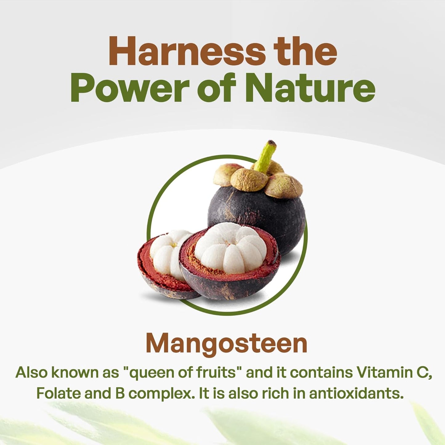 Organic Mangosteen Powder - Pure Superfood Powder from Mangosteen Pericarp, Rich in Antioxidants for Yogurts, Juice, Smoothies, Non-GMO, Vegan - 1lb - Espot.com.au