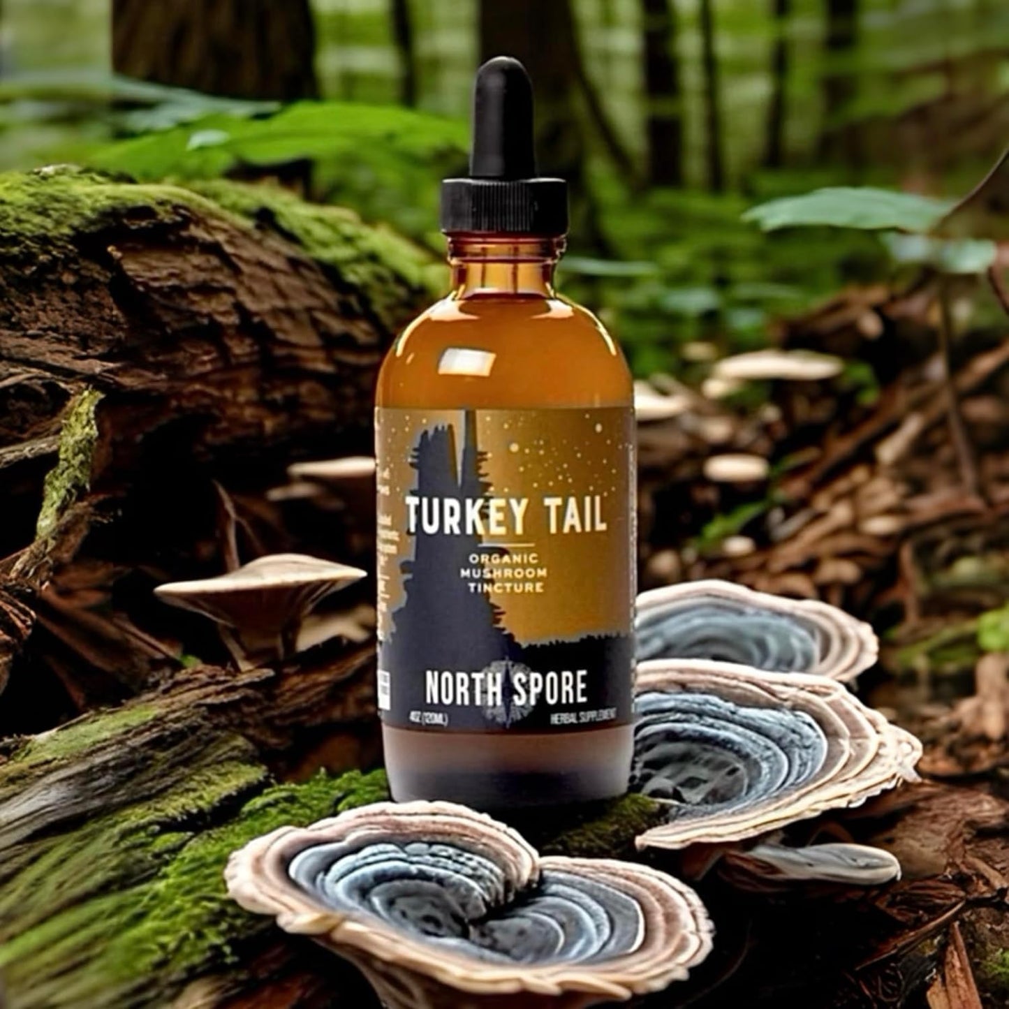 sustainably-grown-trametes-versicolor-tincture-organic-turkey-tail-mushroom-supplement-for-immune-support-vegan-non-gmo-extract---4oz-5