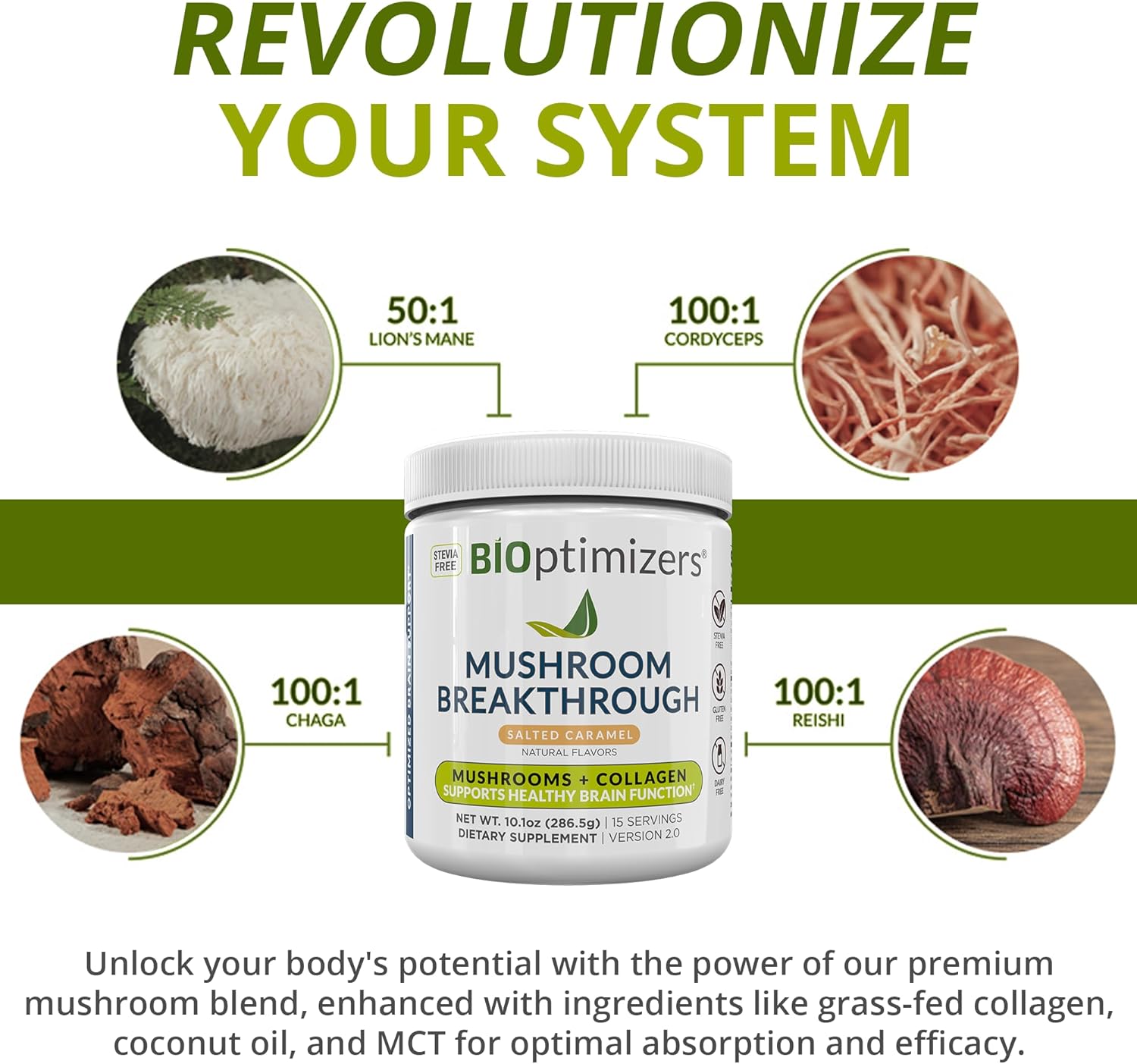 bioptimizers-magnesium-breakthrough-40-capsules-mushroom-breakthrough-powder-bundle---natural-sleep-and-brain-superfood-supplement-4
