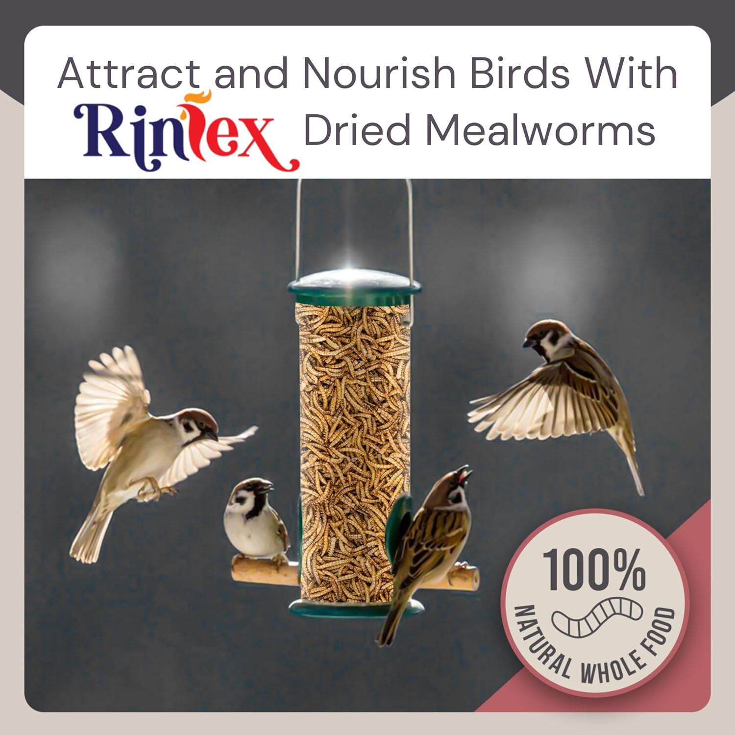 5-lbs-rinlex-dried-mealworms-high-protein-bulk-mealworms-for-chickens-reptiles-wild-birds---hamster-pigeon-crow-tree-frog-treats-4