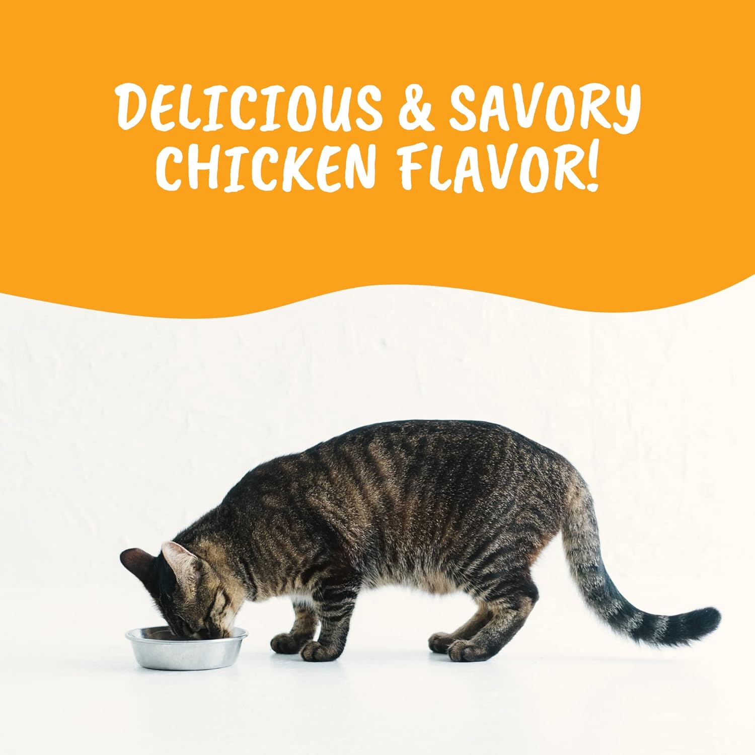 high-calorie-cat-weight-gainer-powder-appetite-stimulant-energy-booster-under-the-weather-ready-cal-supplement-8-oz-7