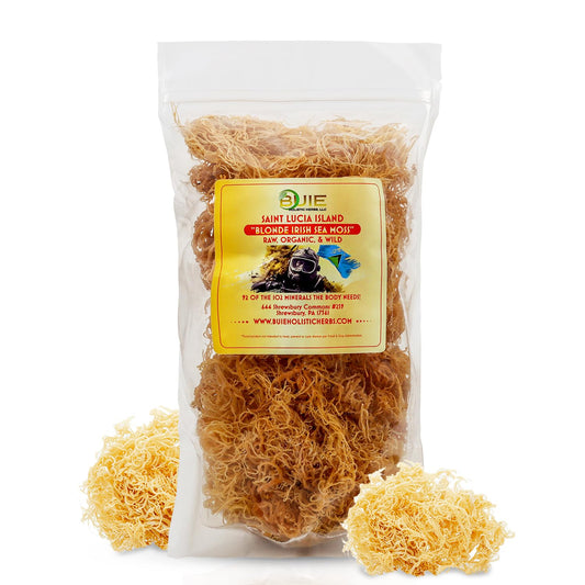 wildcrafted-golden-irish-sea-moss-gel-making-kit---dr-sebi-inspired-nutrient-rich-pure-natural-raw-sun-dried-sea-moss-for-health-wellness-8-oz-1