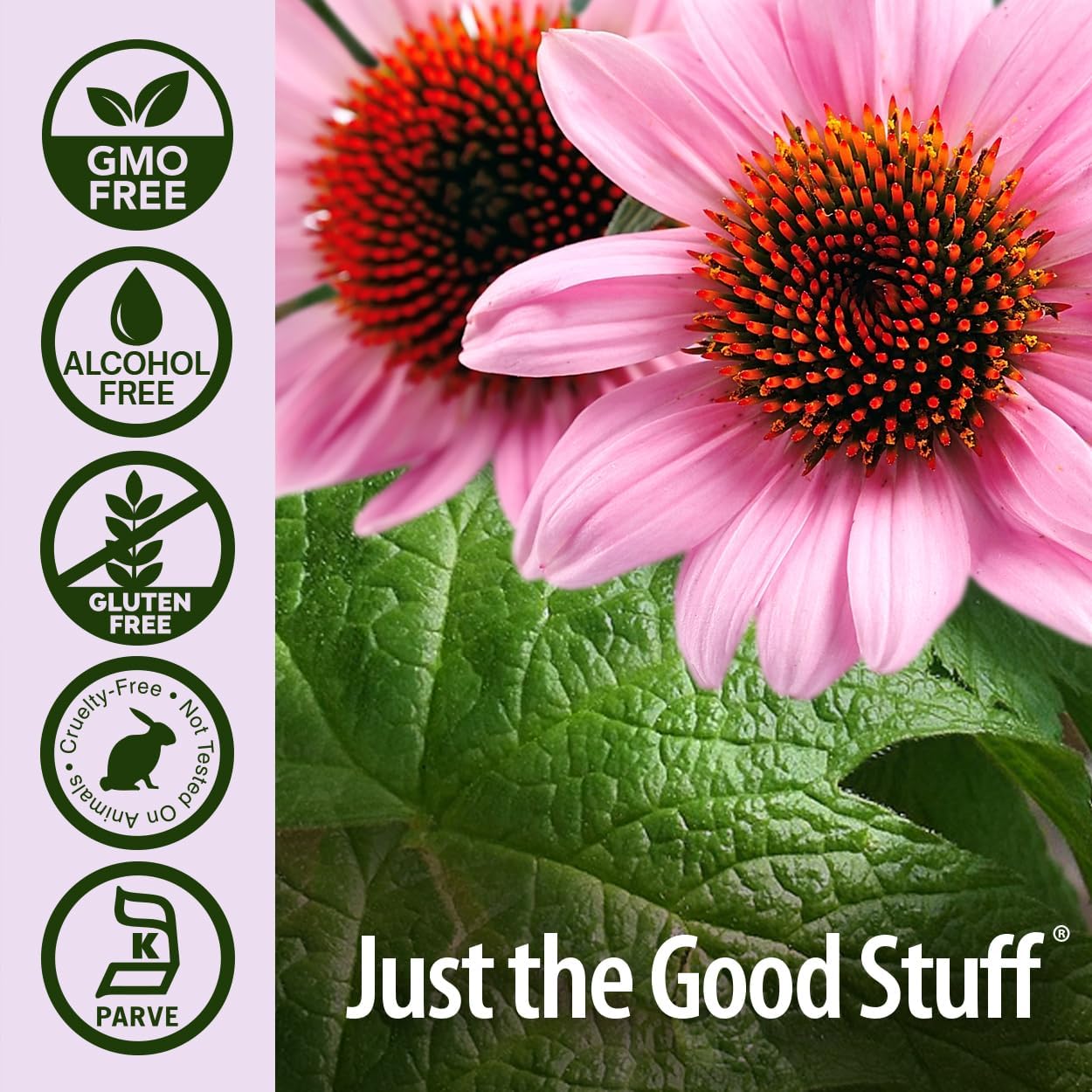 echinacea-and-goldenseal-extract-4oz-immune-system-support-non-gmo-alcohol-free-gluten-free-kosher-certified-5