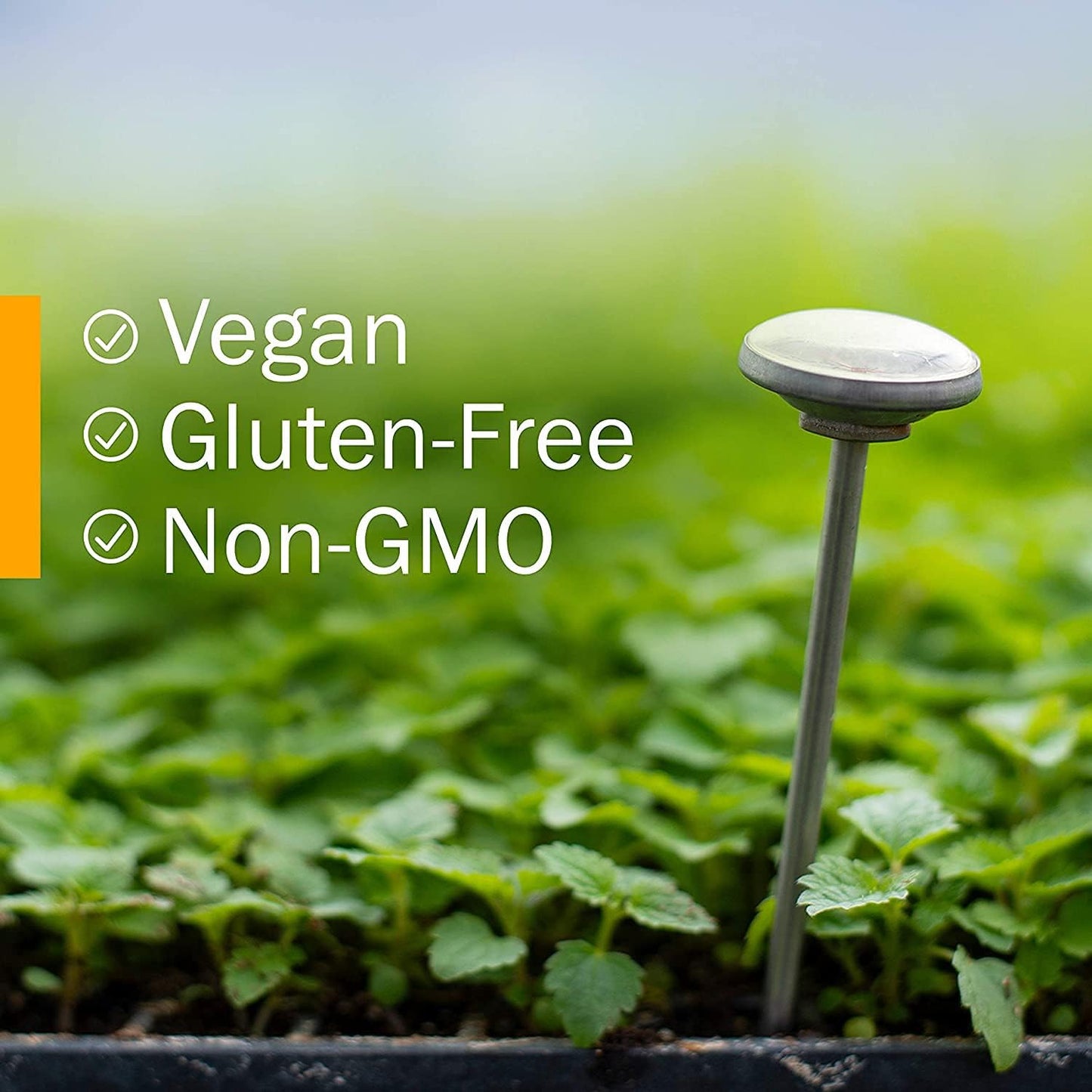 herb-pharm-burdock-blend-liquid-extract-for-cleansing-detox---4-oz-bottle-6