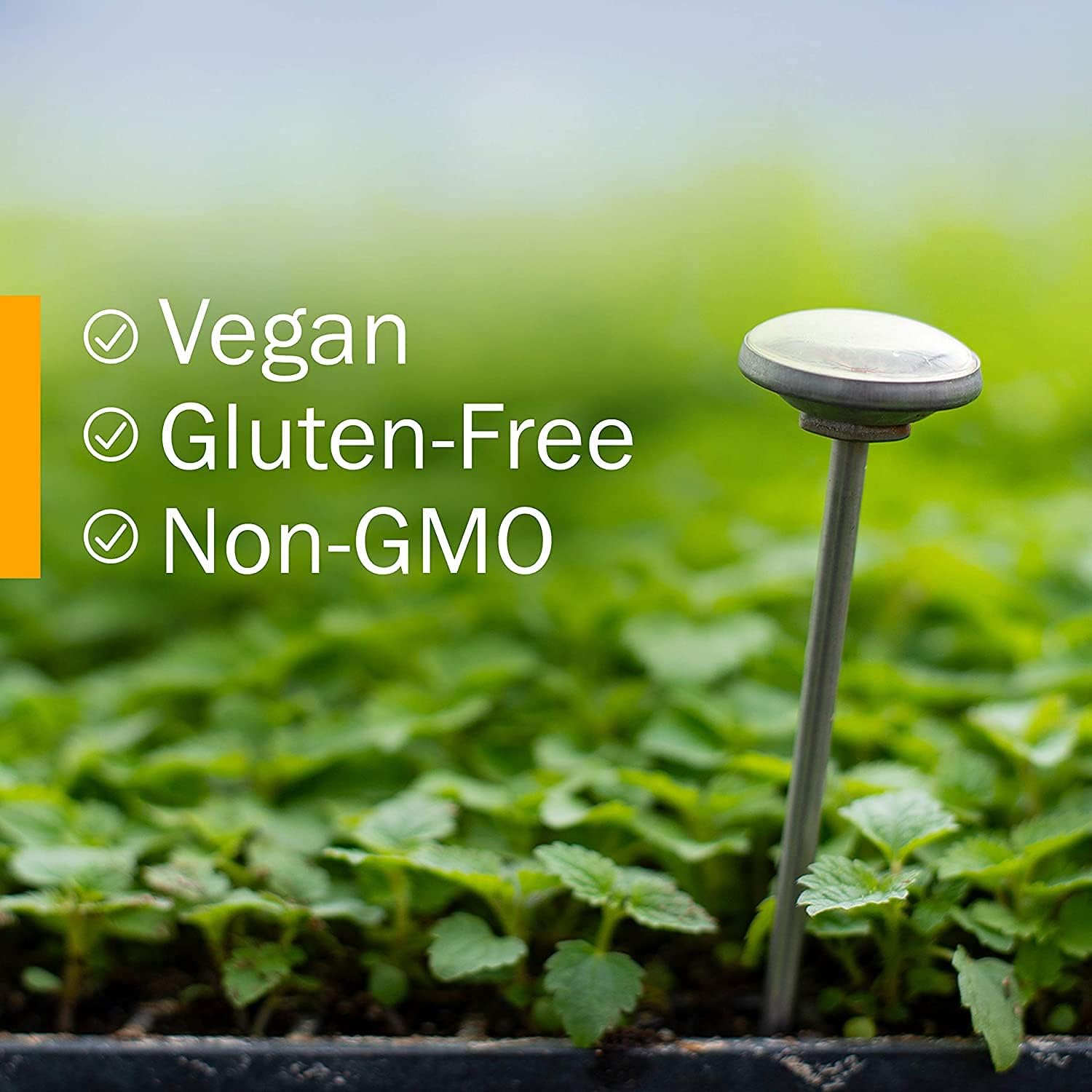 herb-pharm-oregon-grape-root-extract---4-oz-liquid-supplement-6