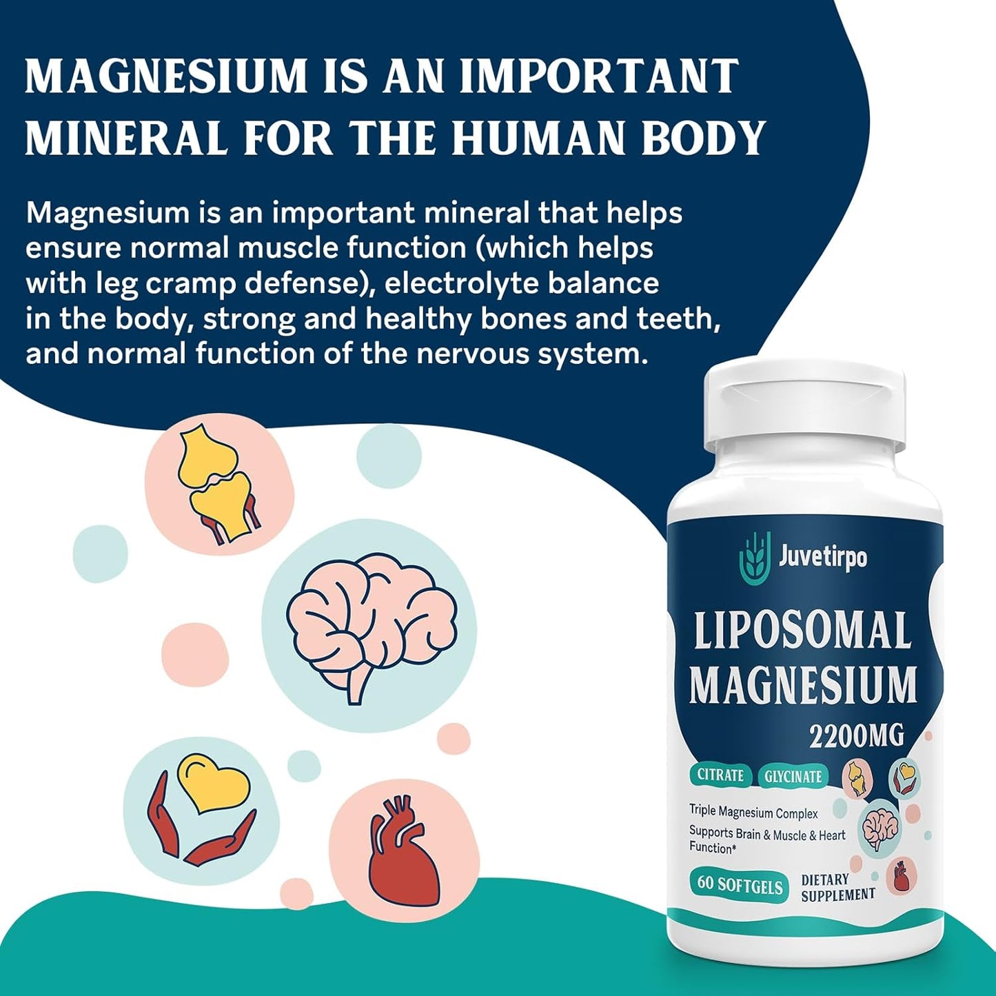 high-strength-liposomal-magnesium-complex-softgels---2200mg-with-magnesium-glycinate-citrate---gluten-free-supplement---60-softgels-4
