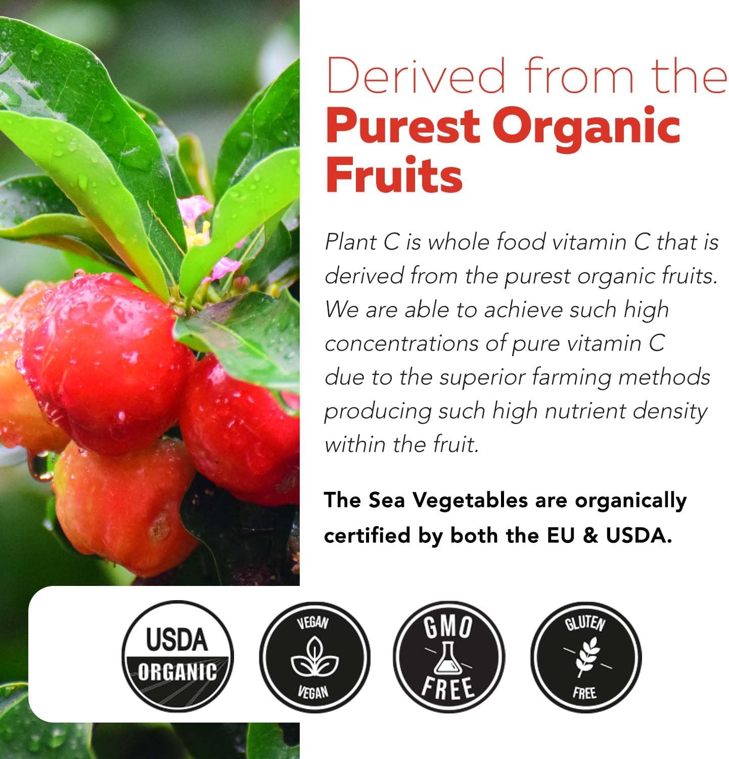 whole-food-vitamin-c-supplement-with-rutin-bioflavonoids-for-immune-support---organic-liquid-formula-96-servings-8