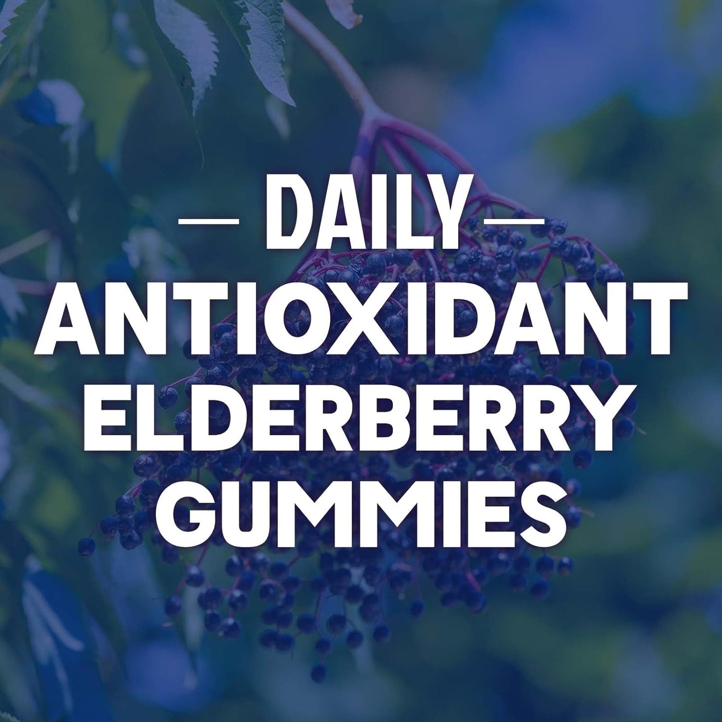 natural-immune-support-gummies-with-elderberry-zinc-vitamin-c---vegan-supplement-for-adults-children---60-gummies-6