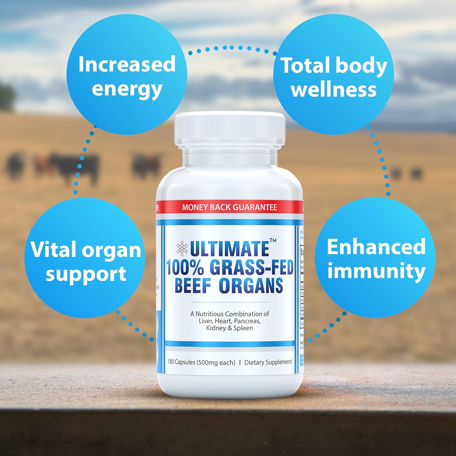 premium-grass-fed-beef-organs-supplement-for-energy-wellness---liver-heart-kidney-pancreas-spleen---non-gmo---180-capsules-5