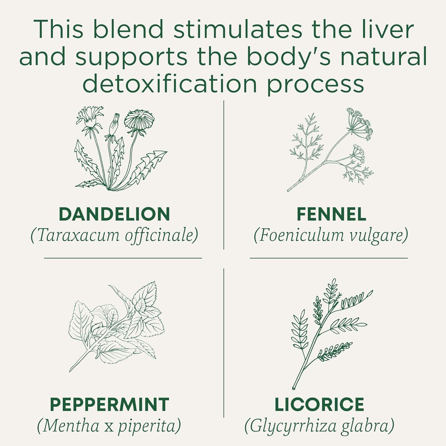 organic-everyday-detox-dandelion-tea---supports-liver-kidney-health---16-tea-bags-3