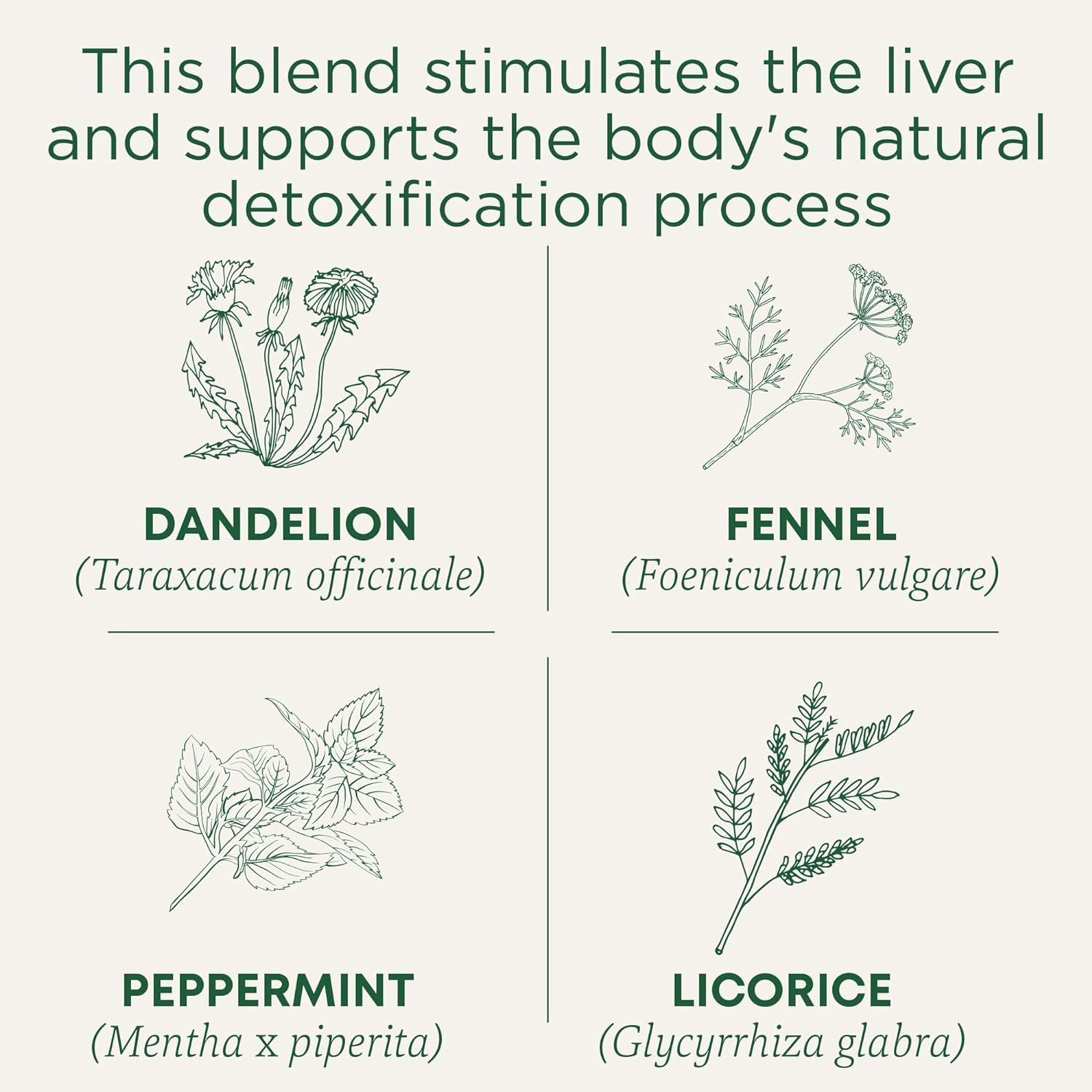 organic-everyday-detox-dandelion-tea---supports-liver-kidney-health---16-tea-bags-3