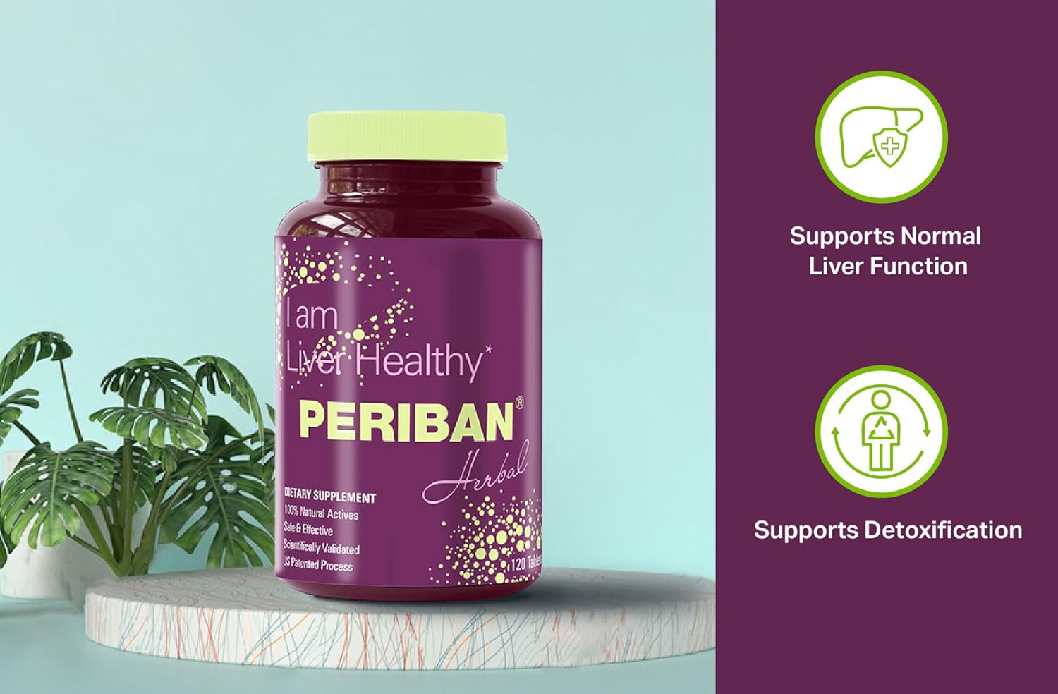 natural-liver-support-supplement-with-andrographis-paniculata-boerrhavia-diffusa-tephrosia-purpurea-phyllanthus-niruri---promotes-healthy-liver-function-and-immune-health-2