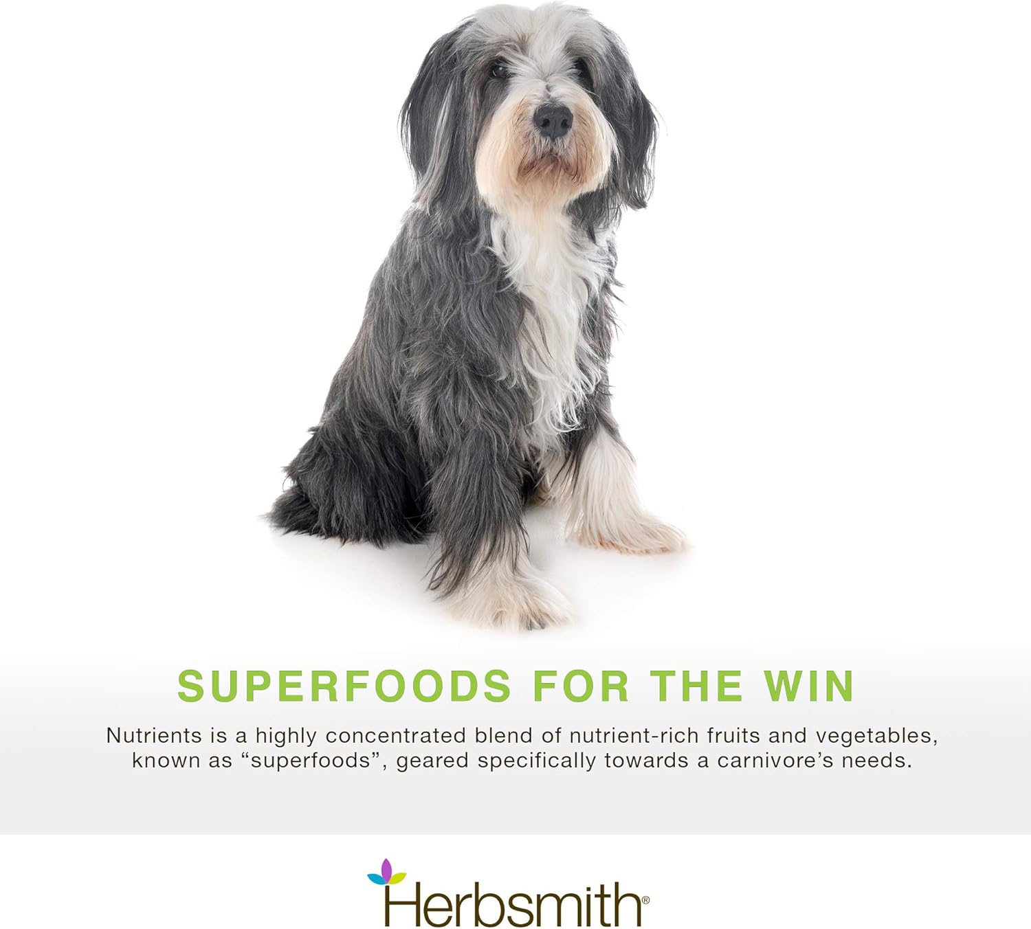 herbsmith-nutrients-superfood-dog-multivitamin-with-whole-foods-antioxidants-vitamins-minerals---65-oz-2